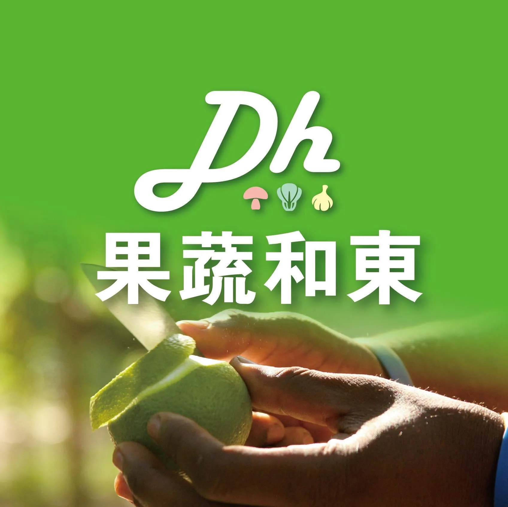 東和蔬果運銷合作社-蔬果批發,台中蔬果批發,梧棲區蔬果批發