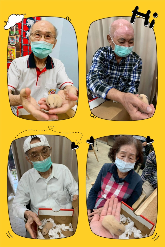 分組活動