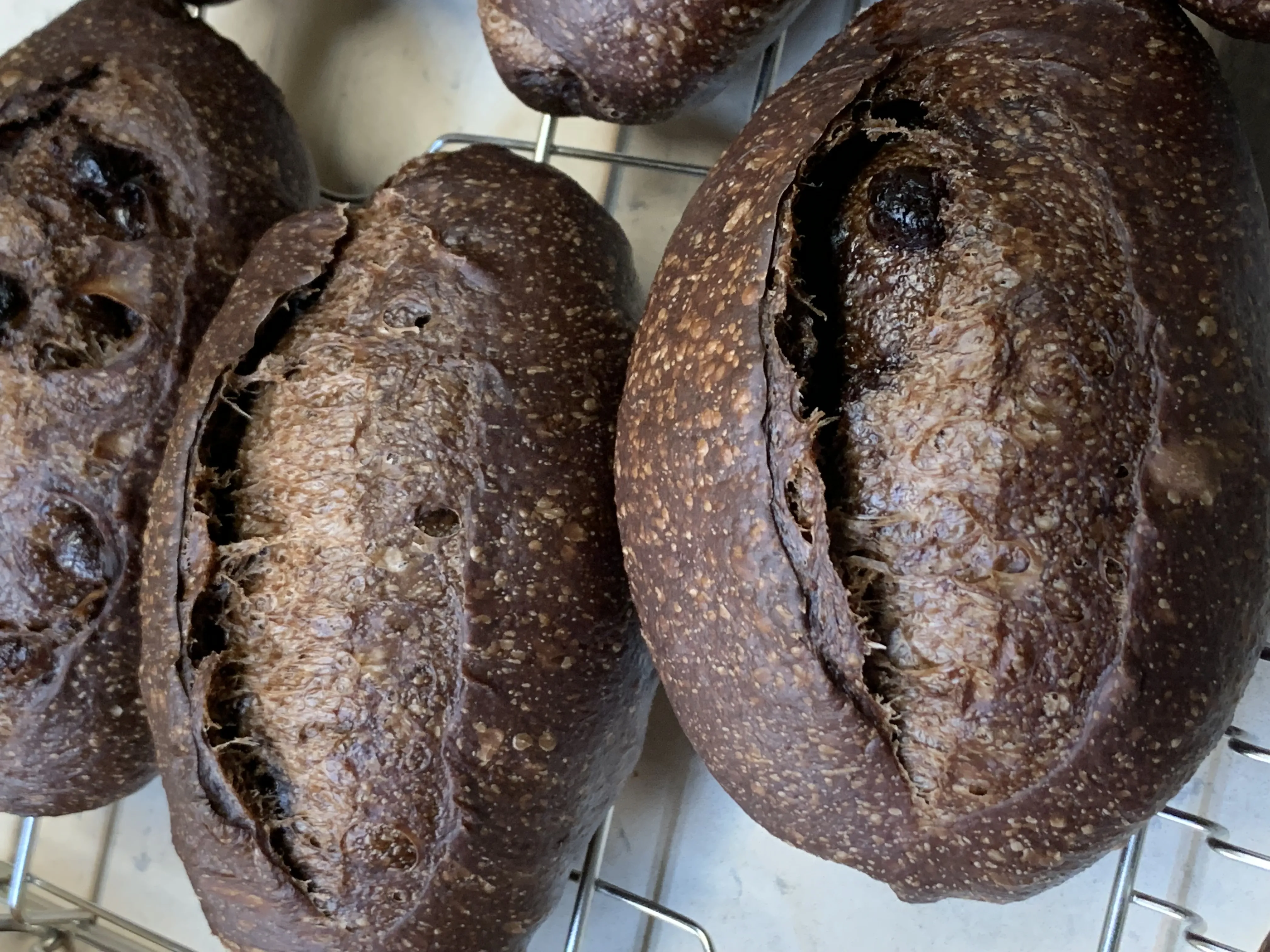 水滴巧克力酸種麵包