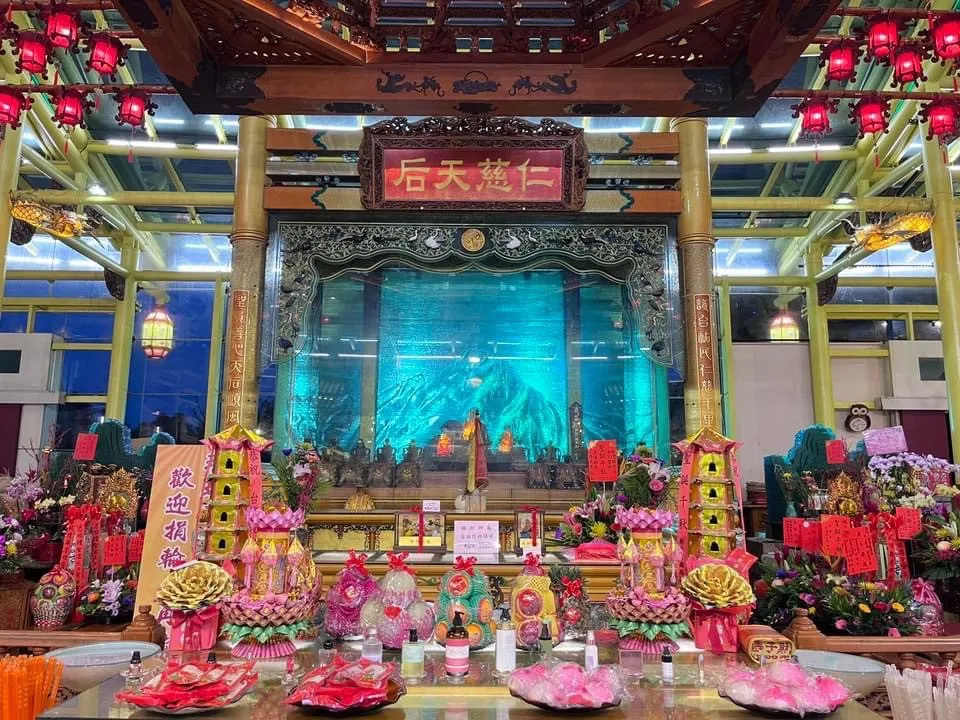 好神-霸王花M號款一對
