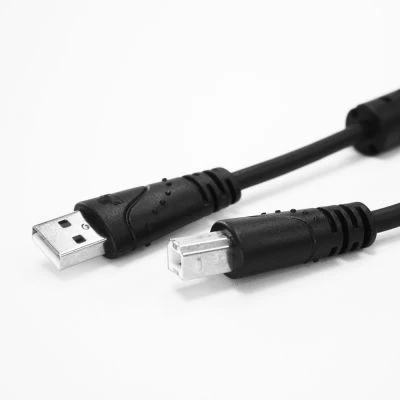 電瓶專家 II