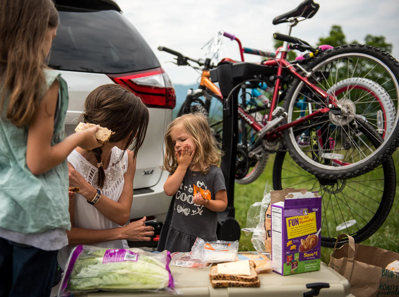 FullSwing 全速搖擺攜車架（四台）