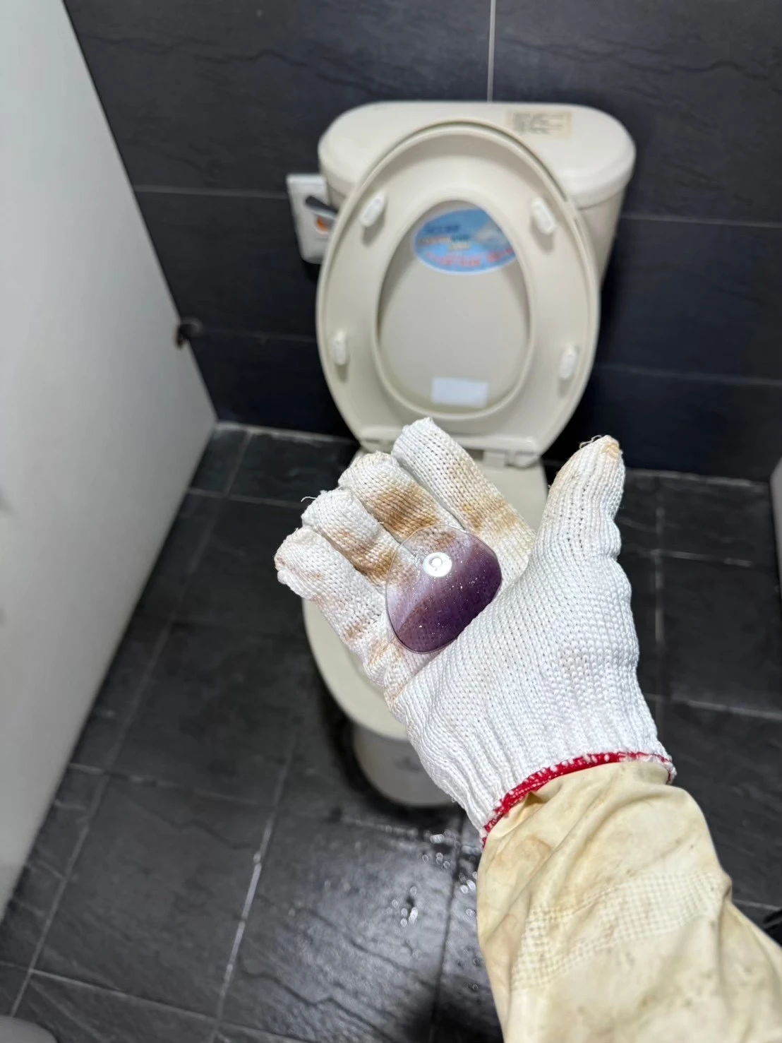 通糞管