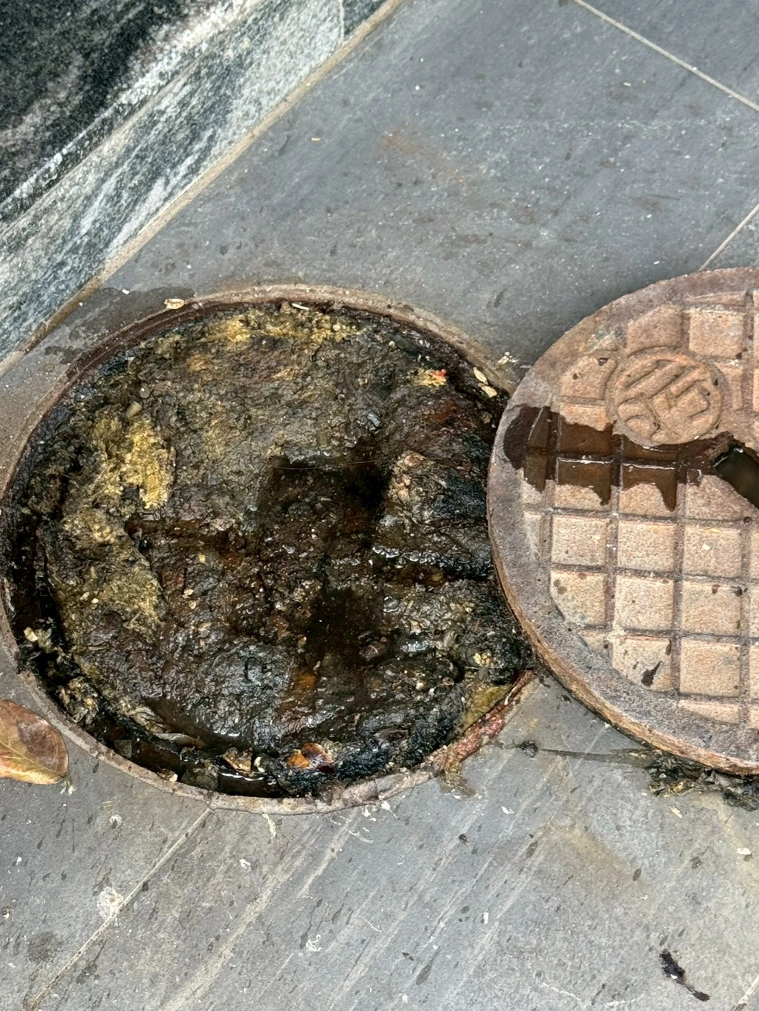通糞管
