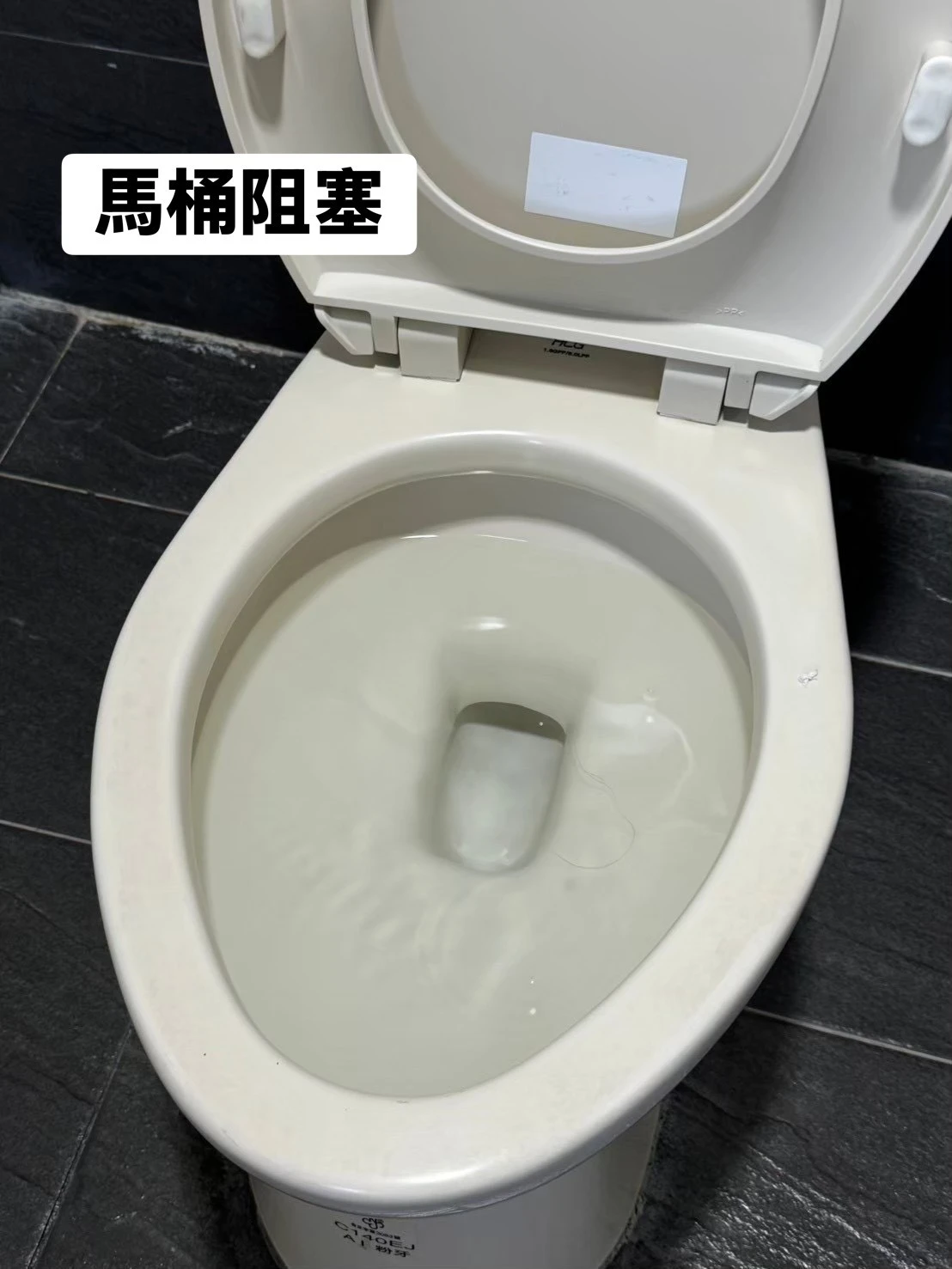 通馬桶