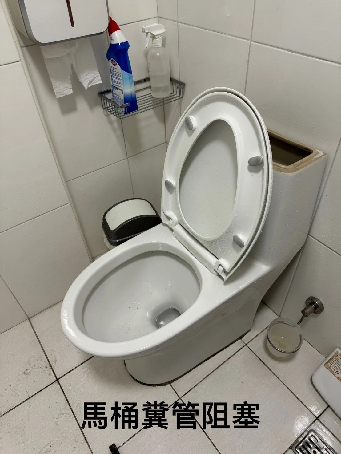 通糞管