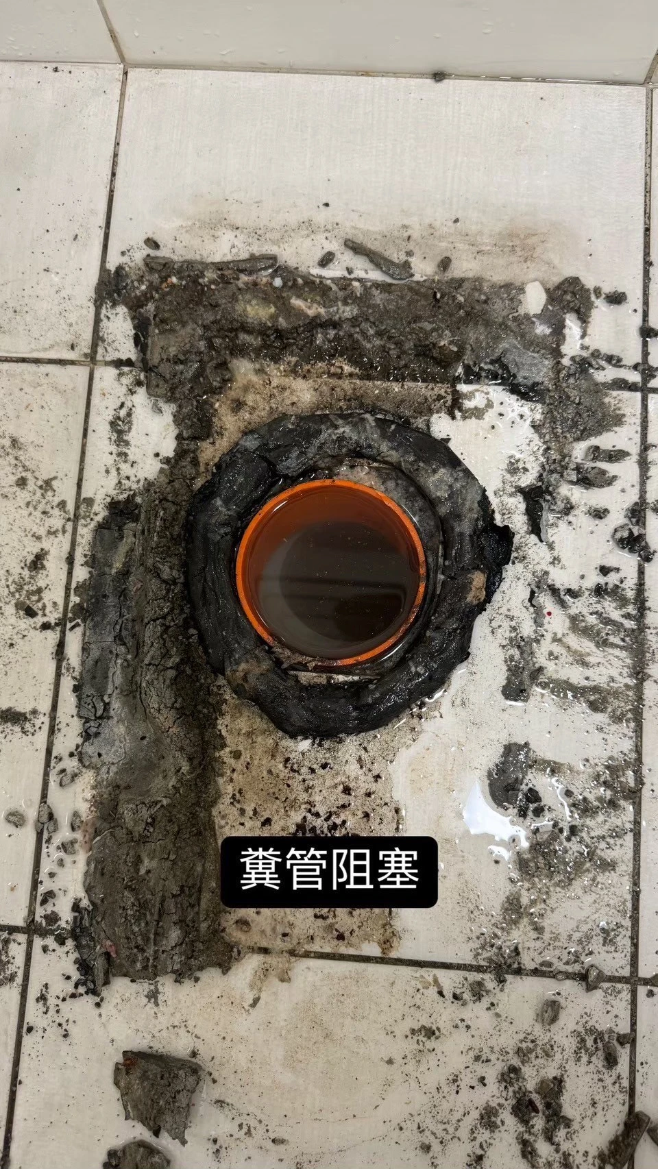 通糞管