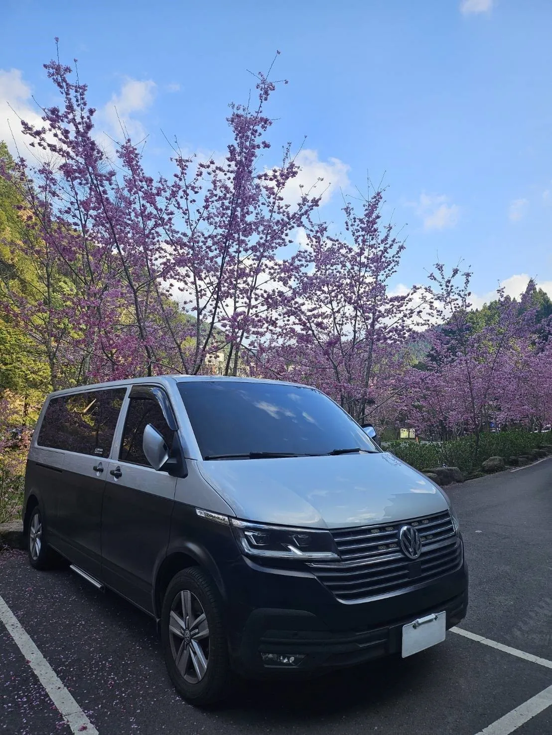 Volkswagen T6 Caravelle (九人座)