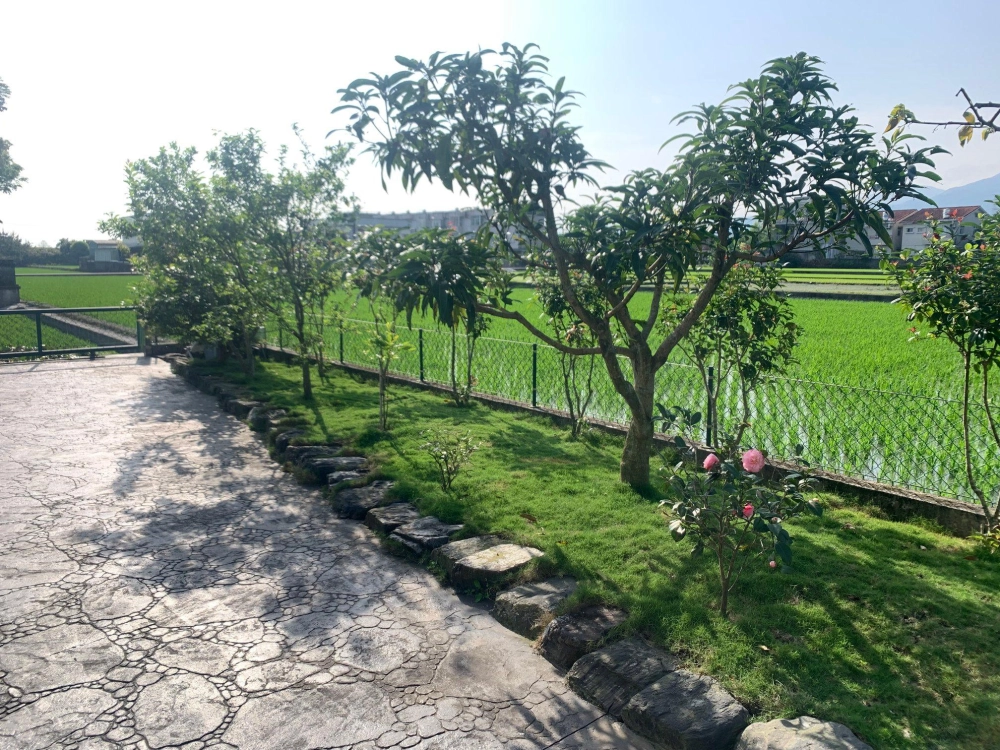 宜蘭草坪除草