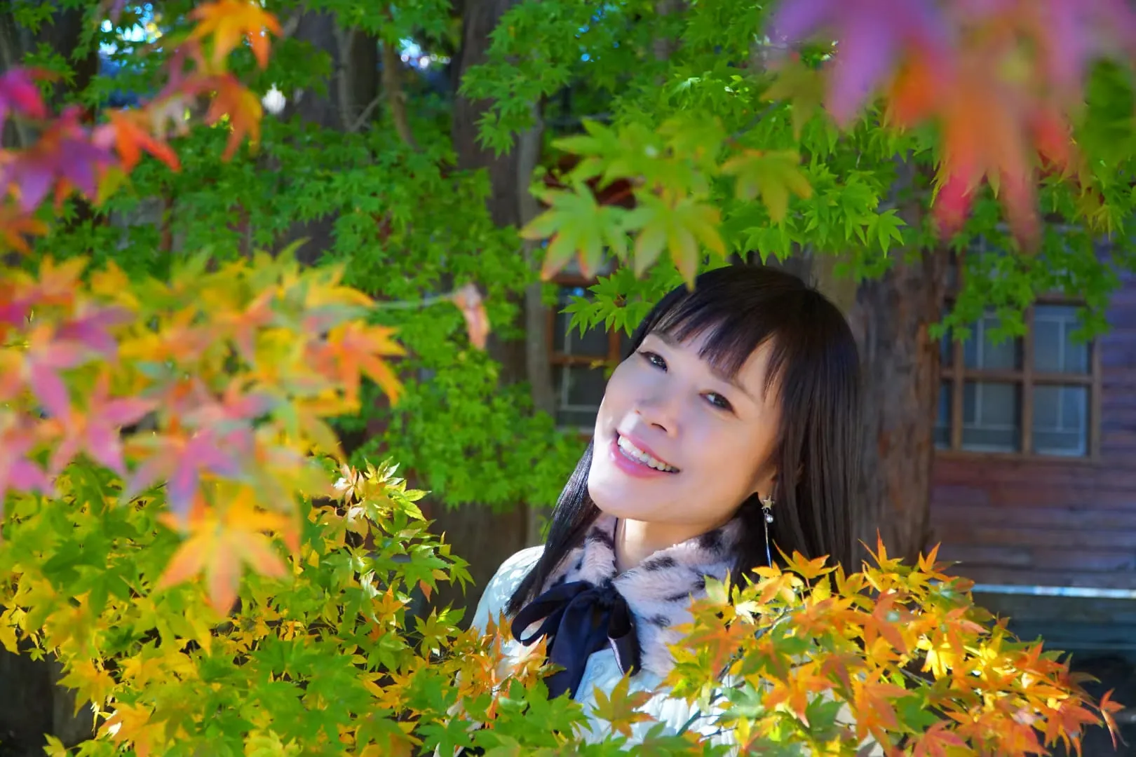 ❤️福壽山梨山~『賞楓趣』~二日遊❤️