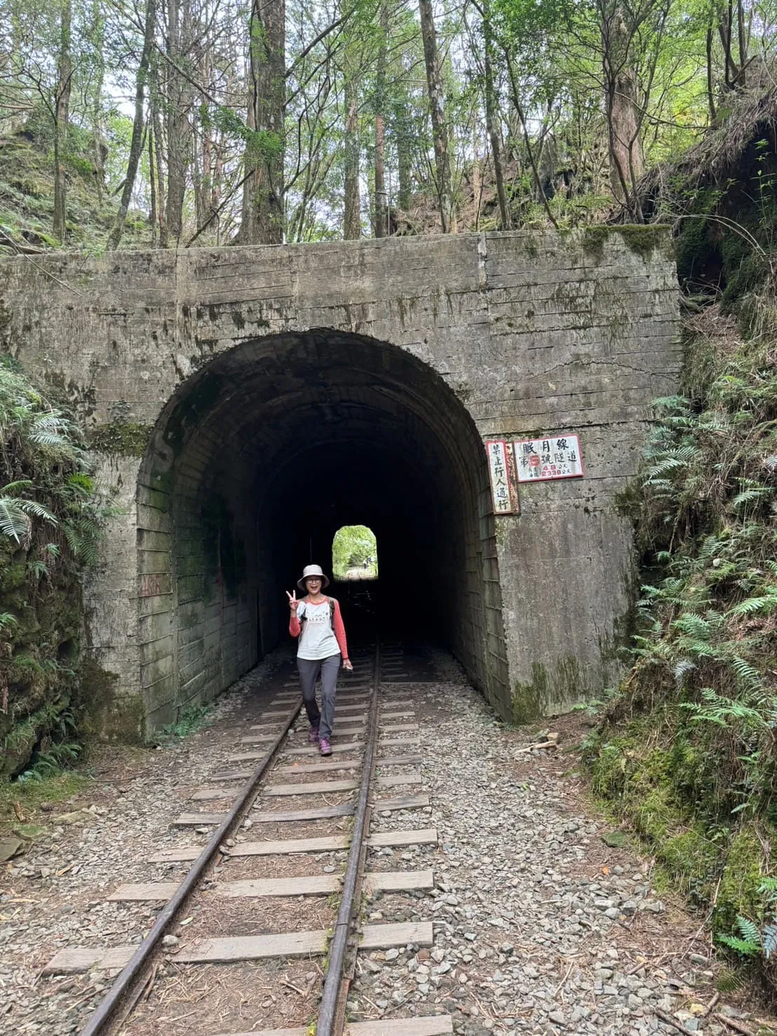 ❣️深入台灣最美鐵道~眠月線