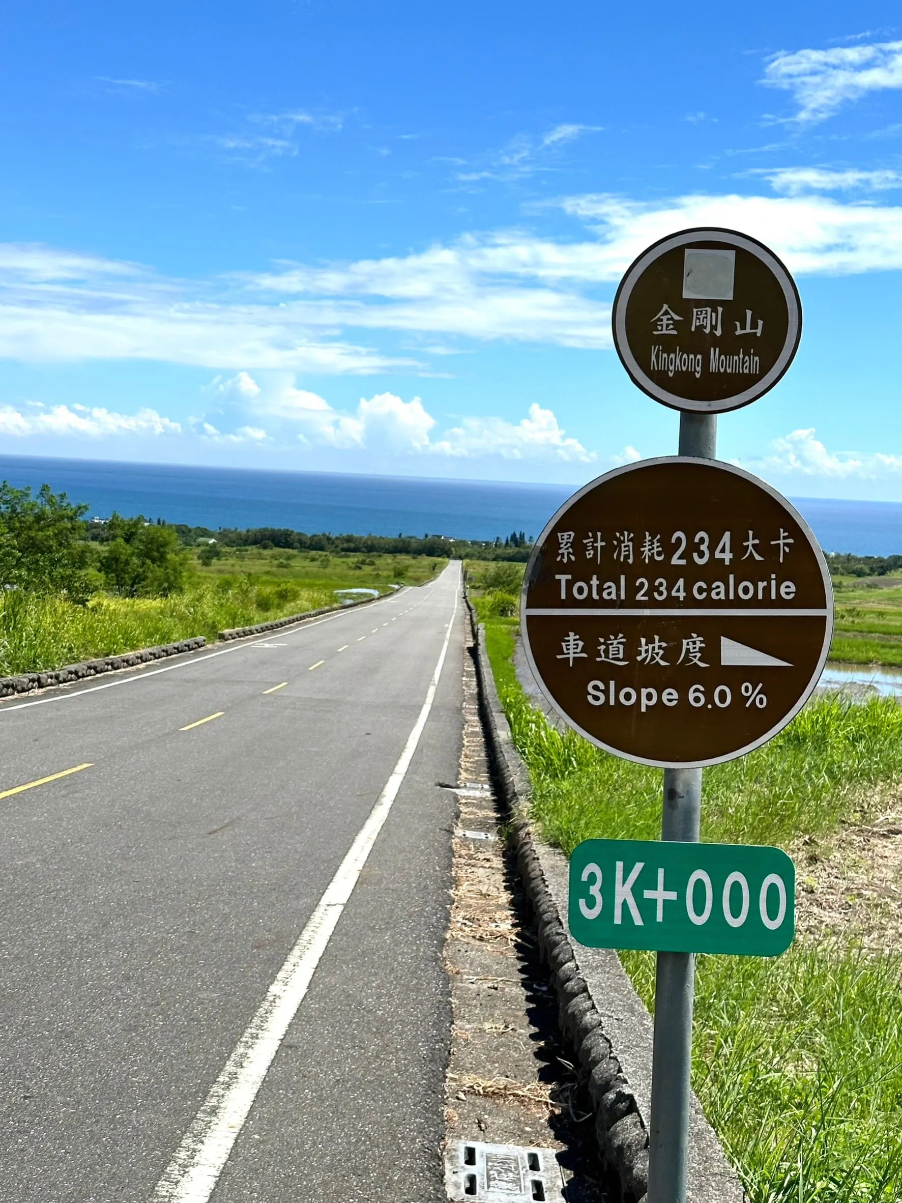 ❤️花東海岸~暢遊雙濱、金剛大道三日遊