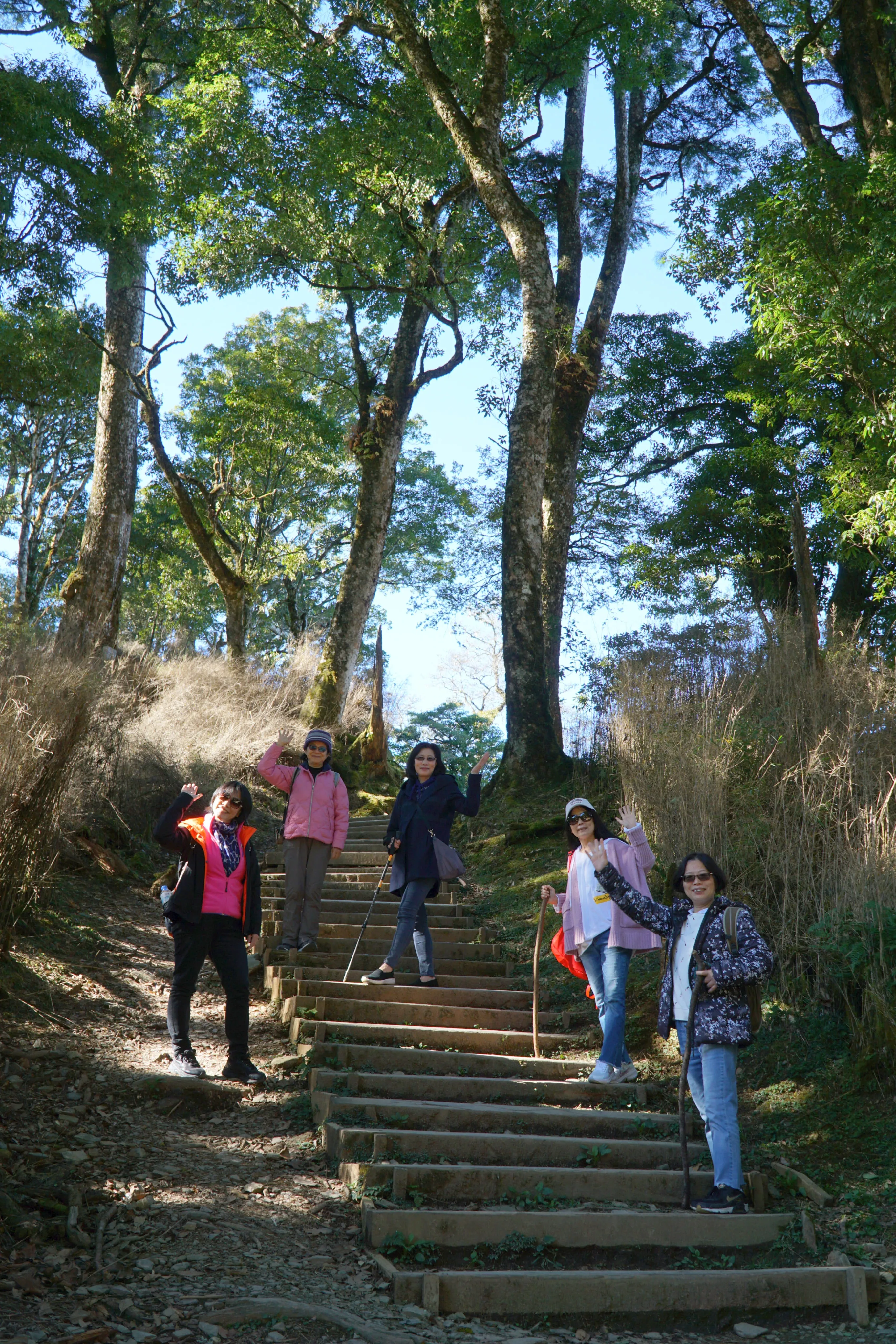 ❤️『新竹』雪霸國家公園~觀霧森林遊樂區二日遊