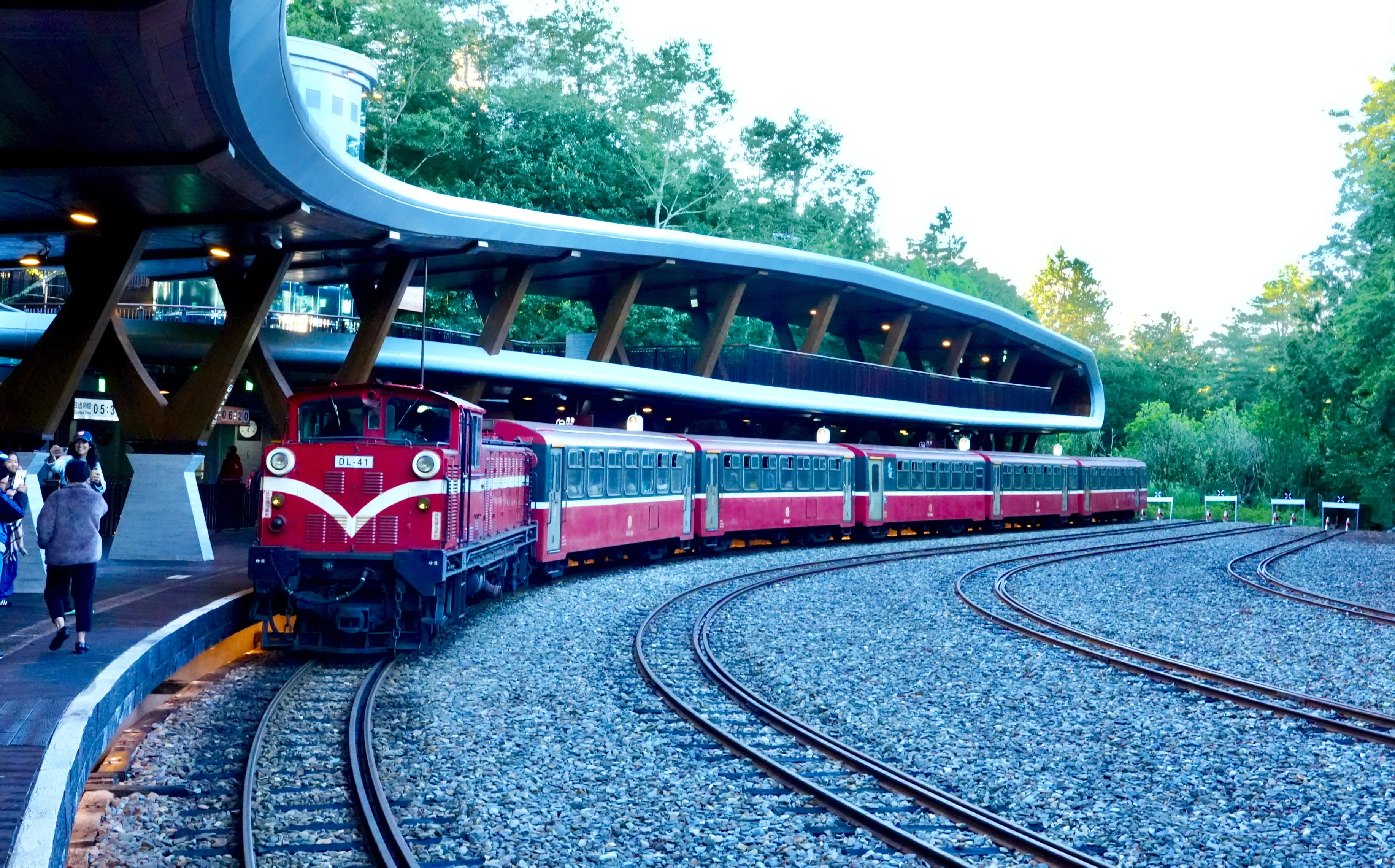 ❤️阿里山神木群、特富野古道三日遊