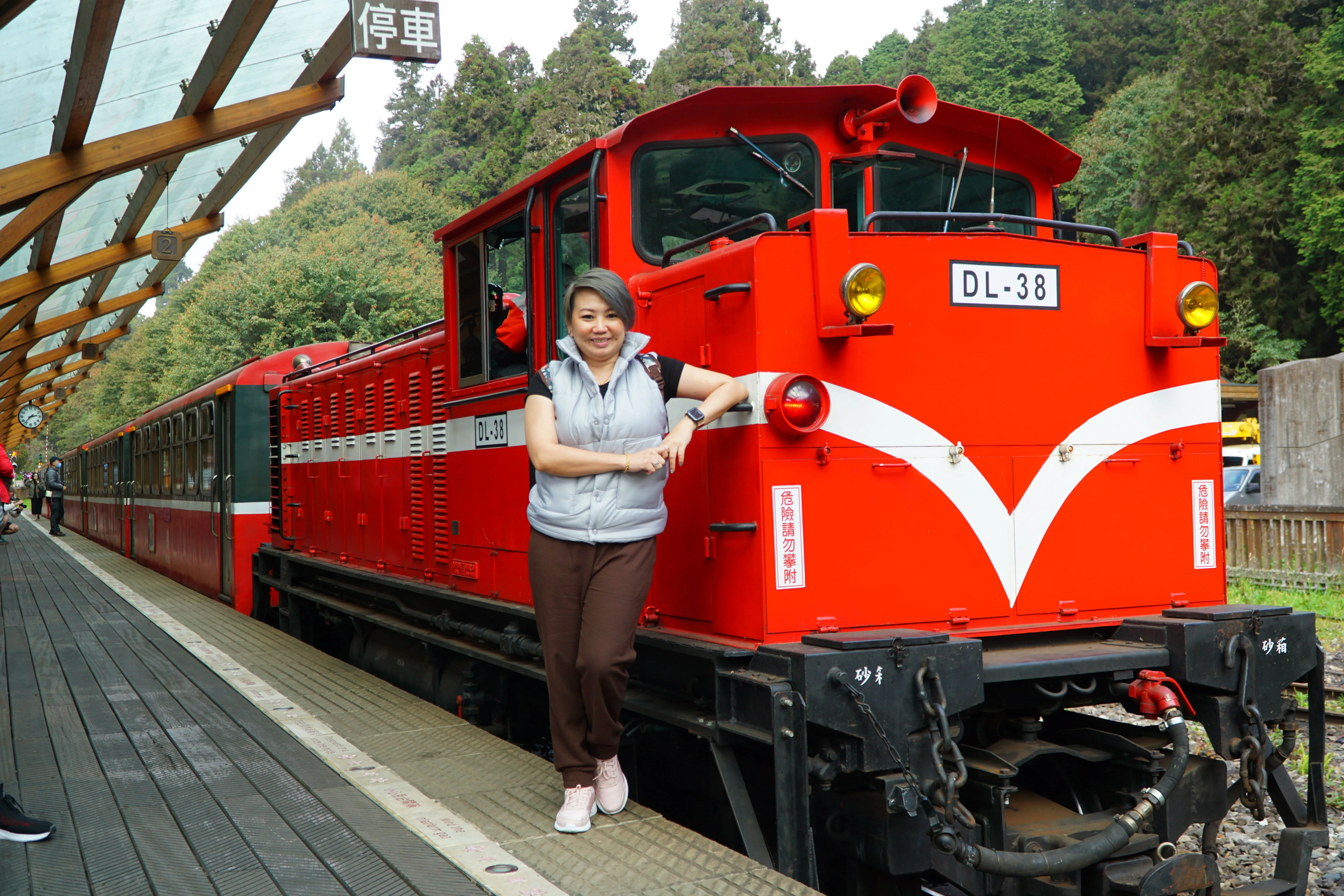 ❤️阿里山神木群、特富野古道三日遊