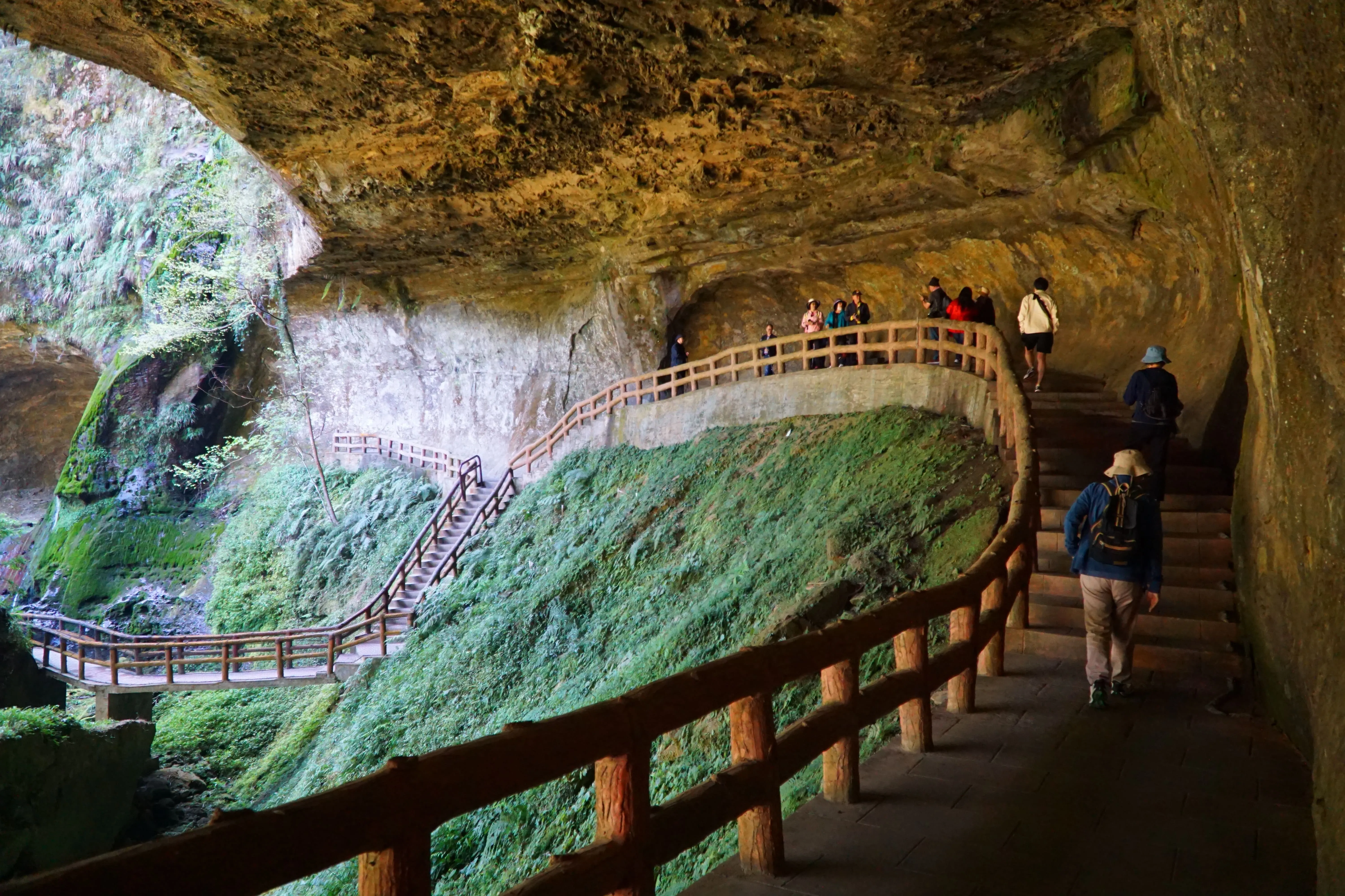 ❣️杉林溪森林生態渡假園區