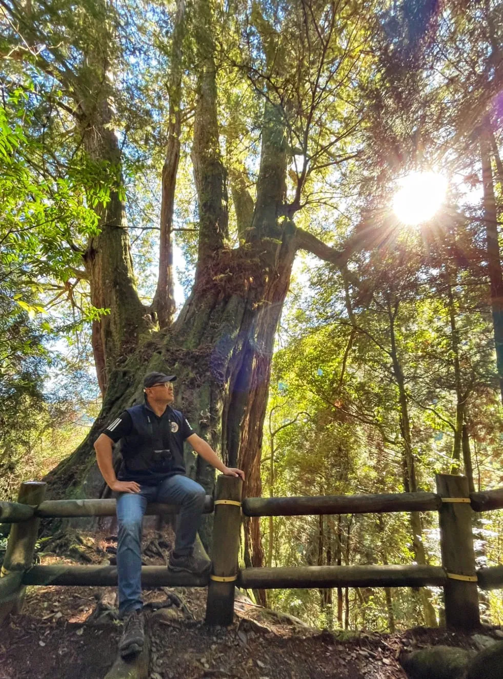 ❤️『新竹』雪霸國家公園~觀霧森林遊樂區二日遊