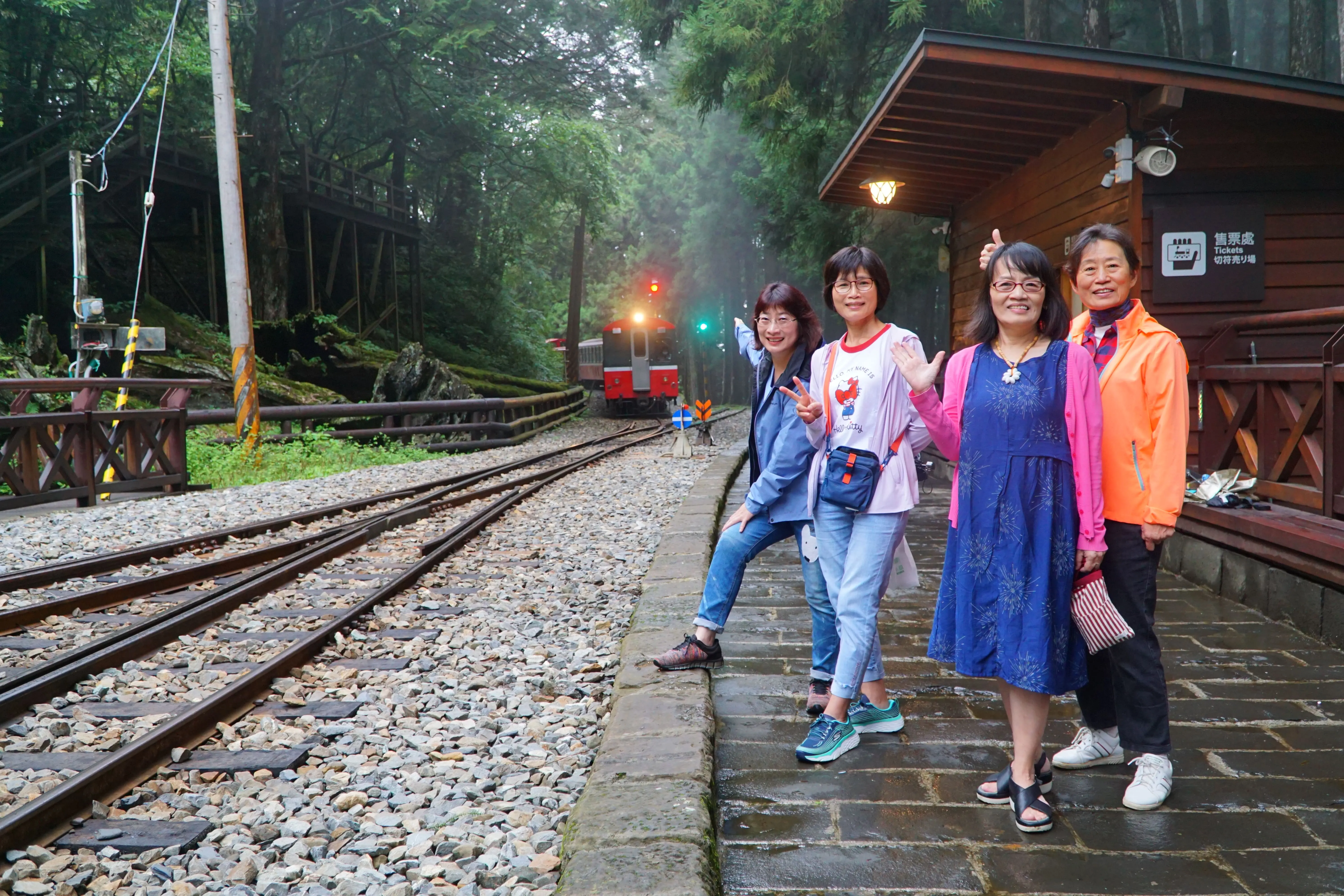 ❤️阿里山神木群、特富野古道三日遊