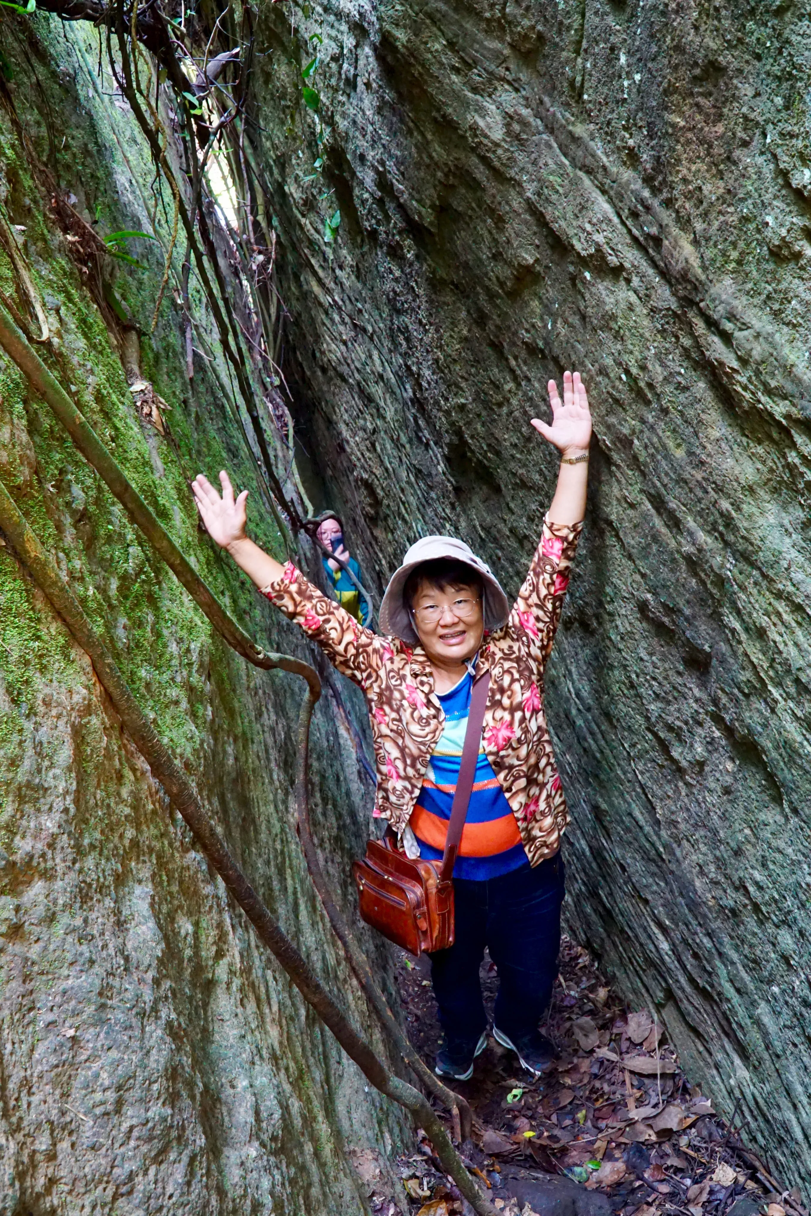 ❣️【台東】鸞山部落生態之旅-探訪阿凡達生命之樹/鸞山森林博物館三日遊