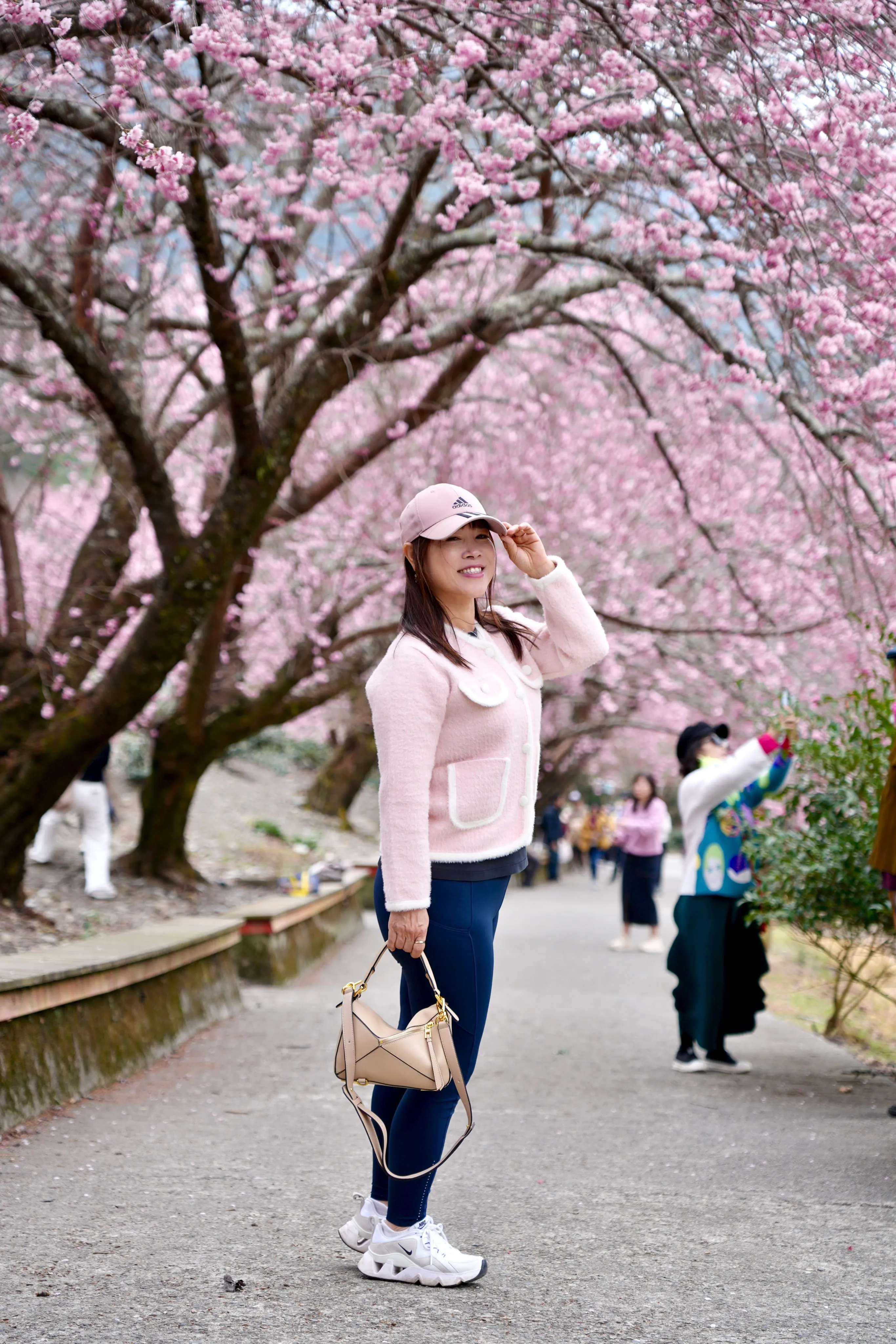 ❣️武陵櫻花季