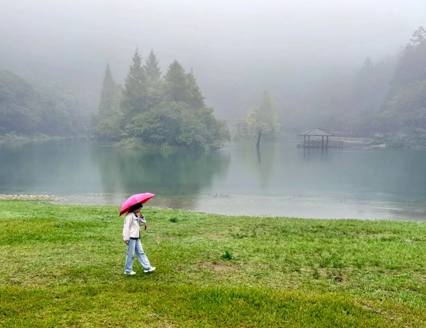 ❤️拉拉山巨木群+明池森林遊樂區二日遊