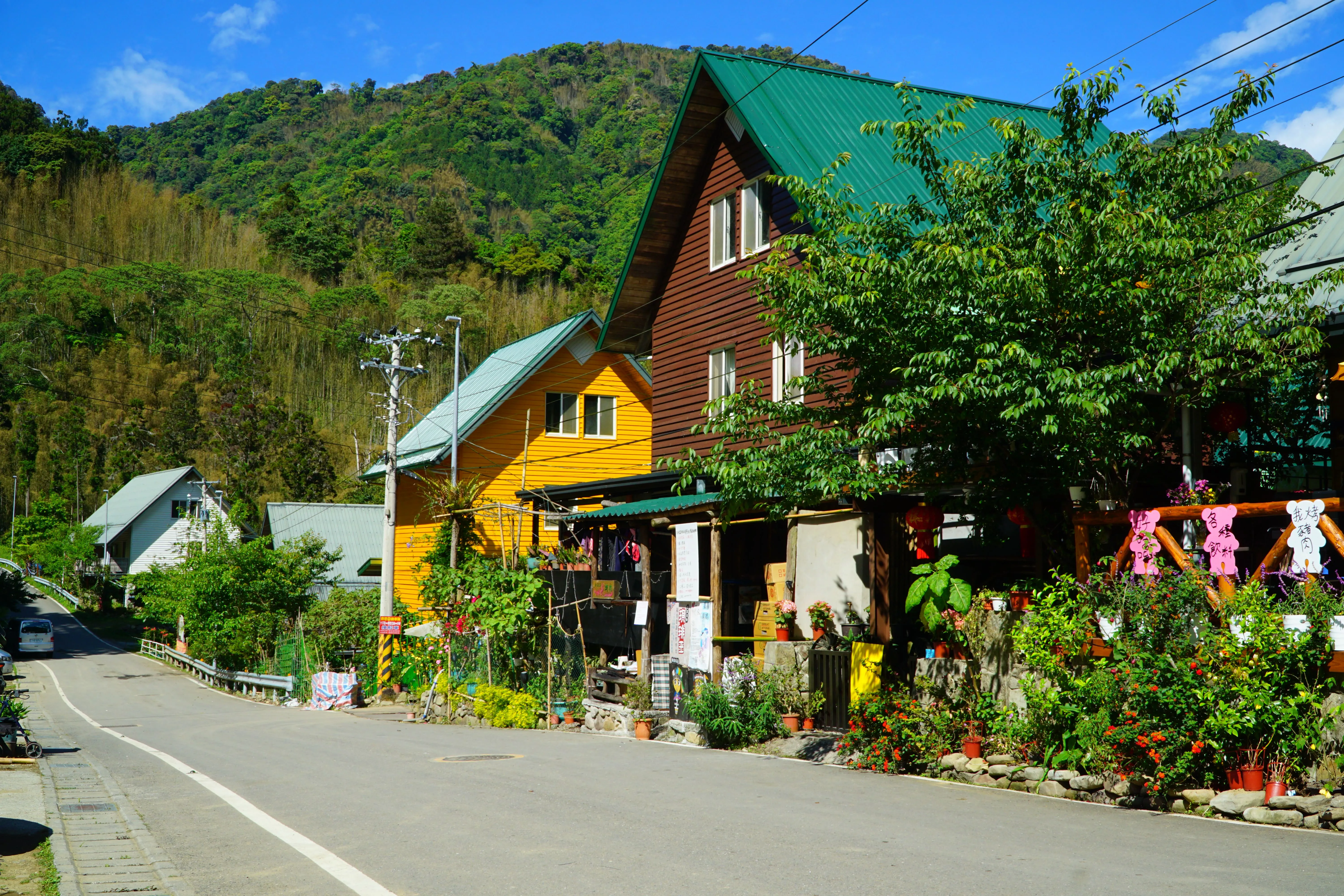 ❣️阿里山【得恩亞納】~台版合掌村二日遊
