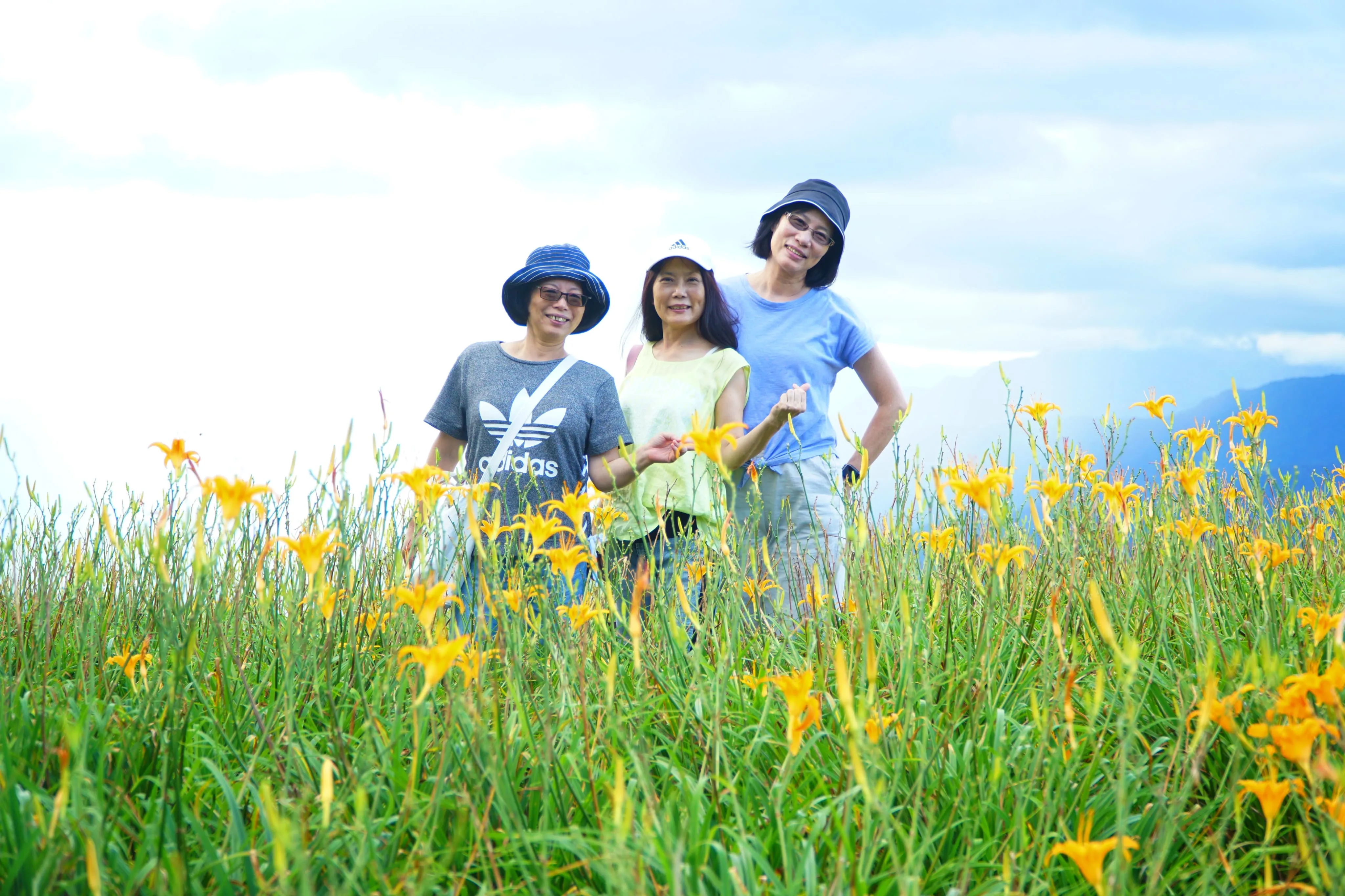 ❣️花東縱谷之美『赤柯山、六十石山金針山』