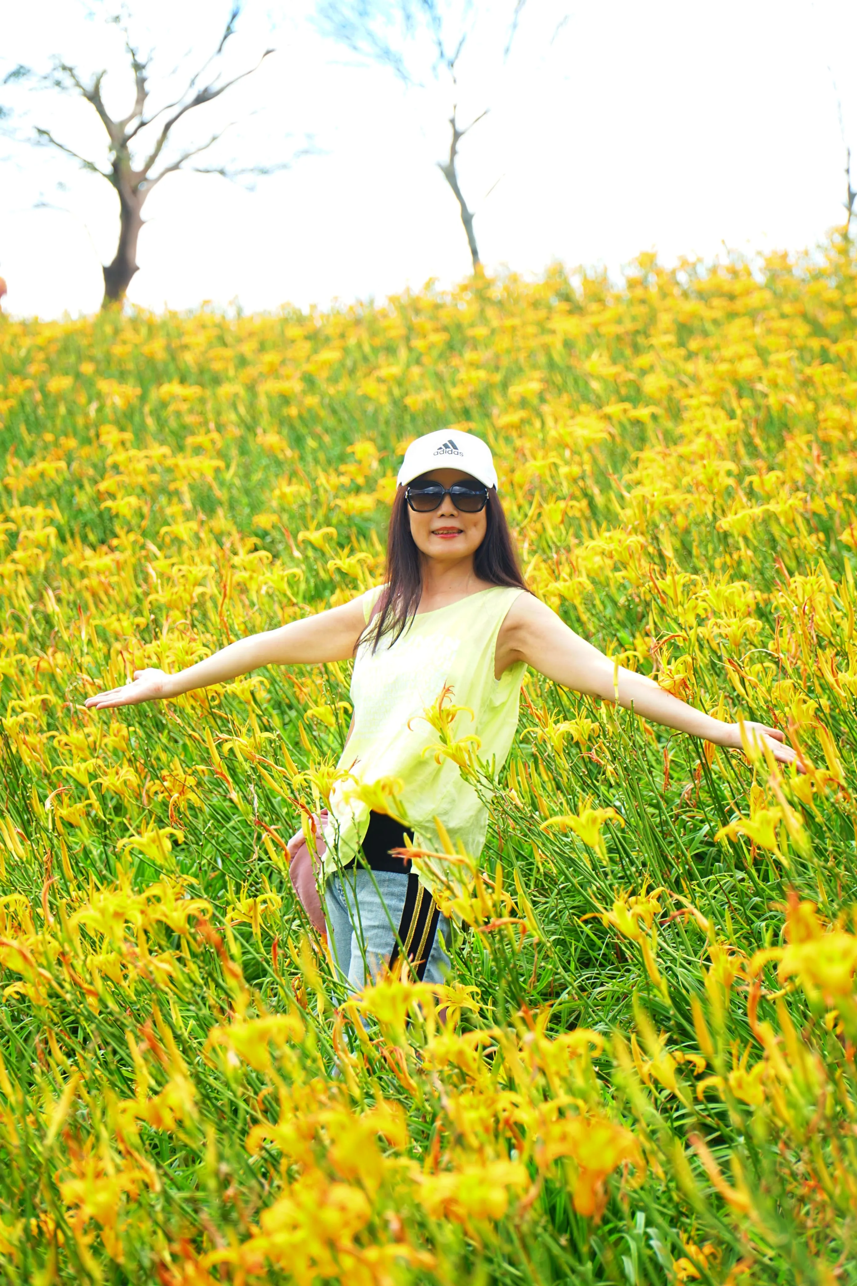 ❣️花東縱谷之美『赤柯山、六十石山金針山』