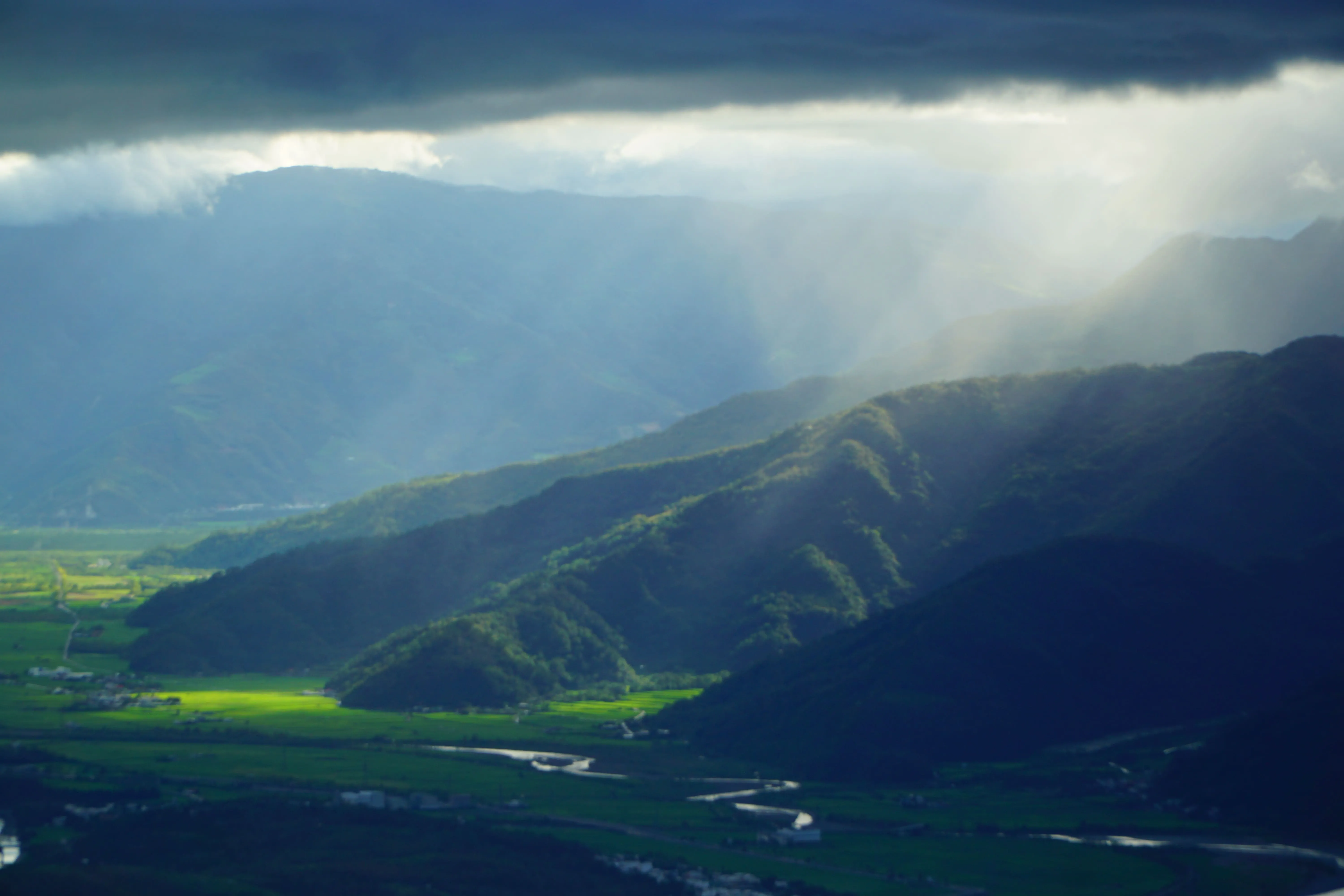 ❣️花東縱谷之美『赤柯山、六十石山金針山』