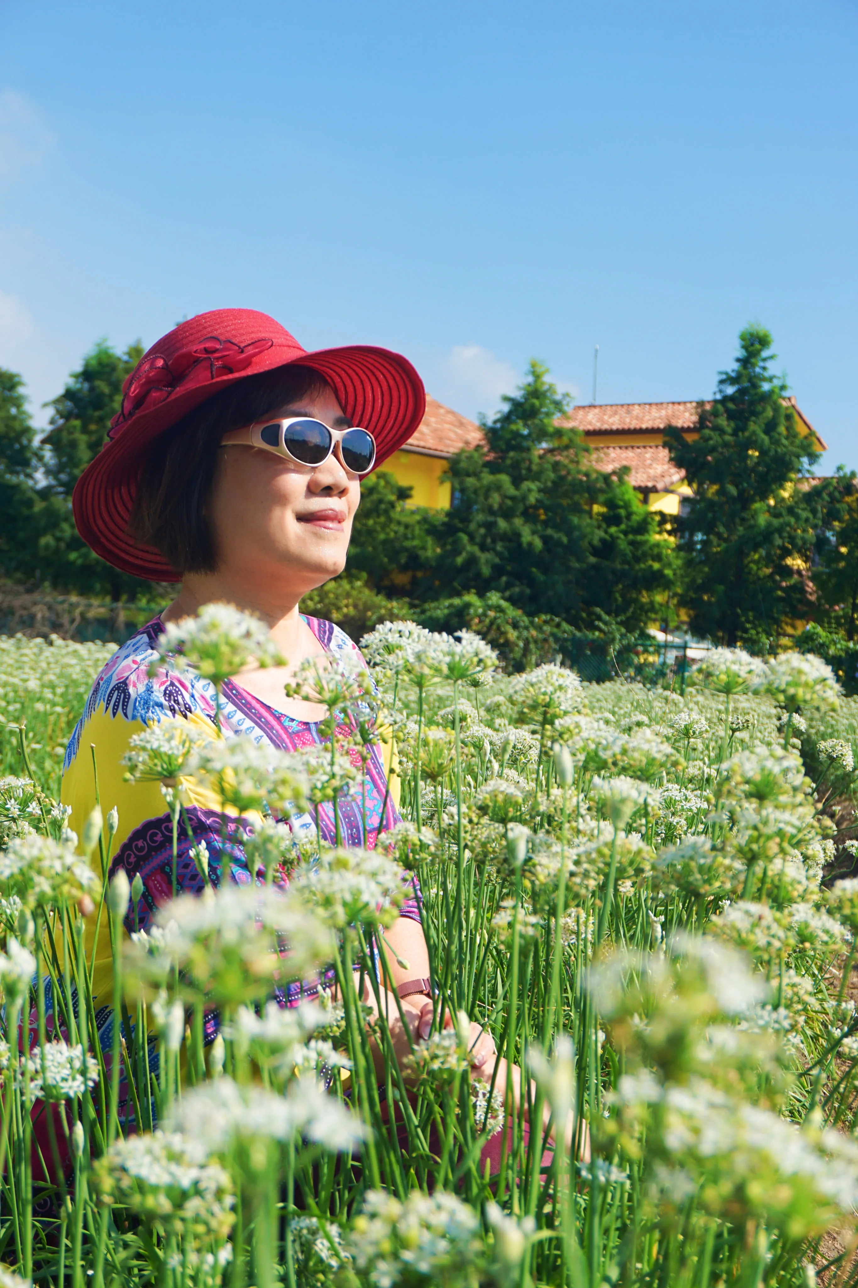 ❤️『桃園』大溪、角板山一日遊