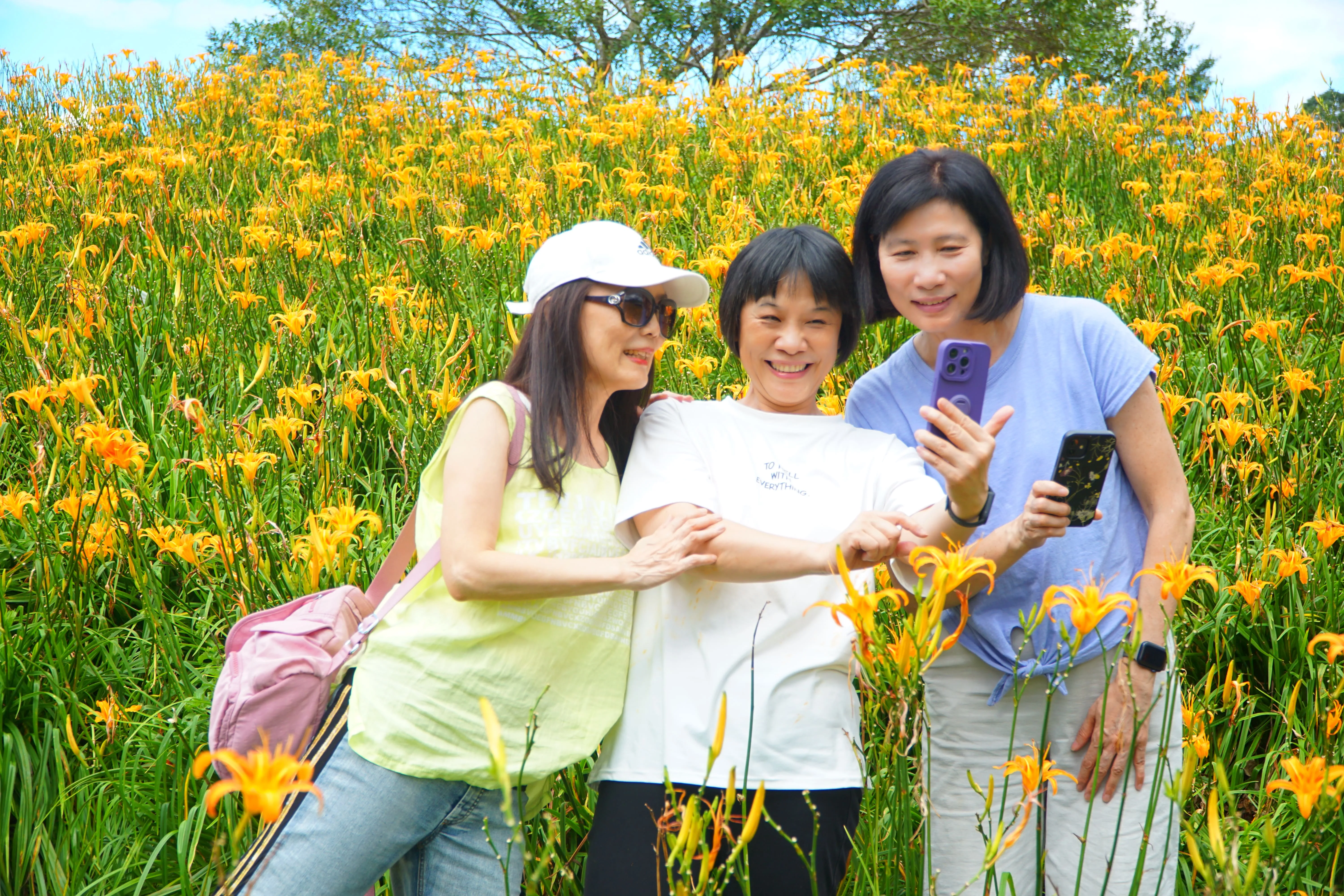 ❣️花東縱谷之美『赤柯山、六十石山金針山』