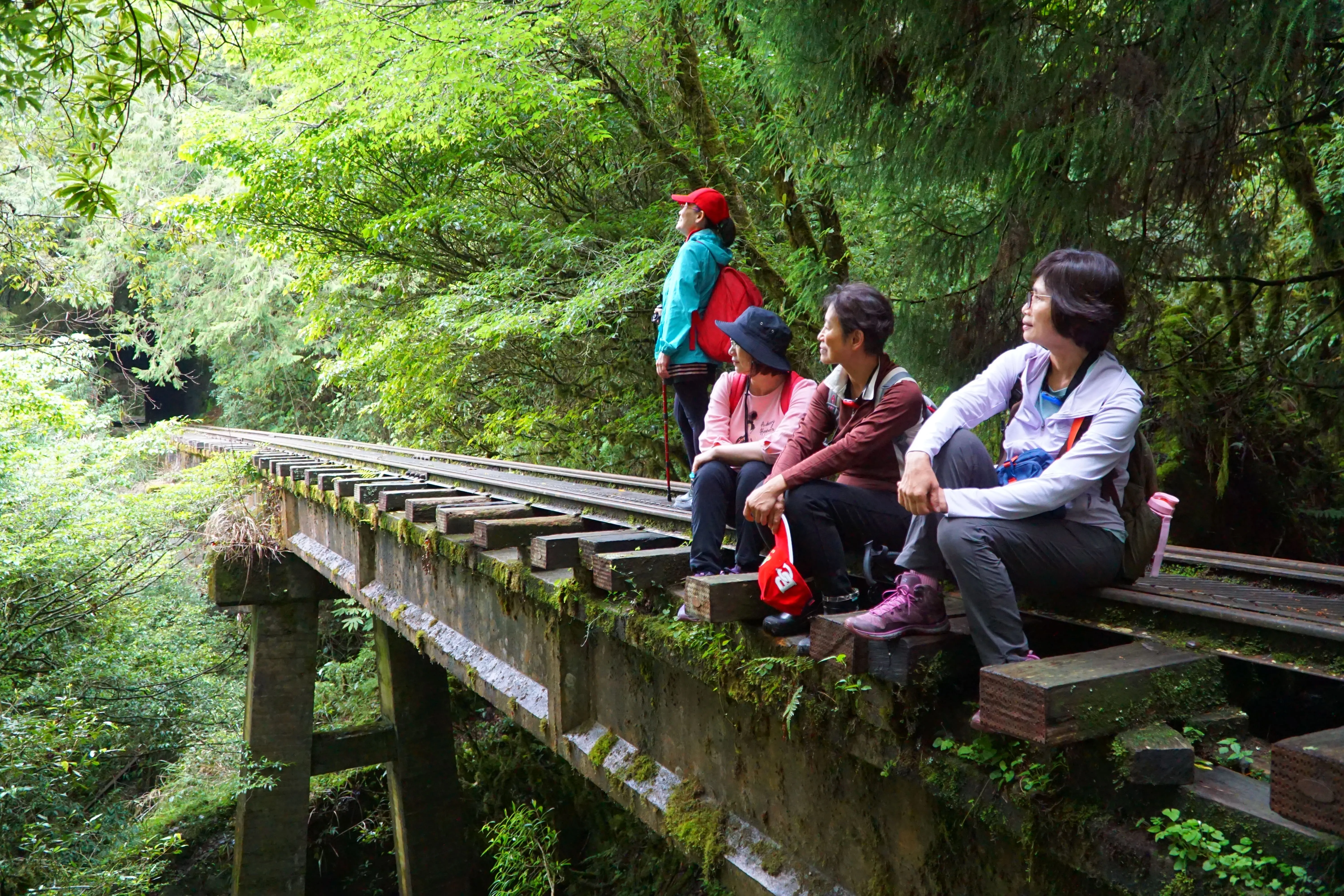 ❣️深入台灣最美鐵道~眠月線