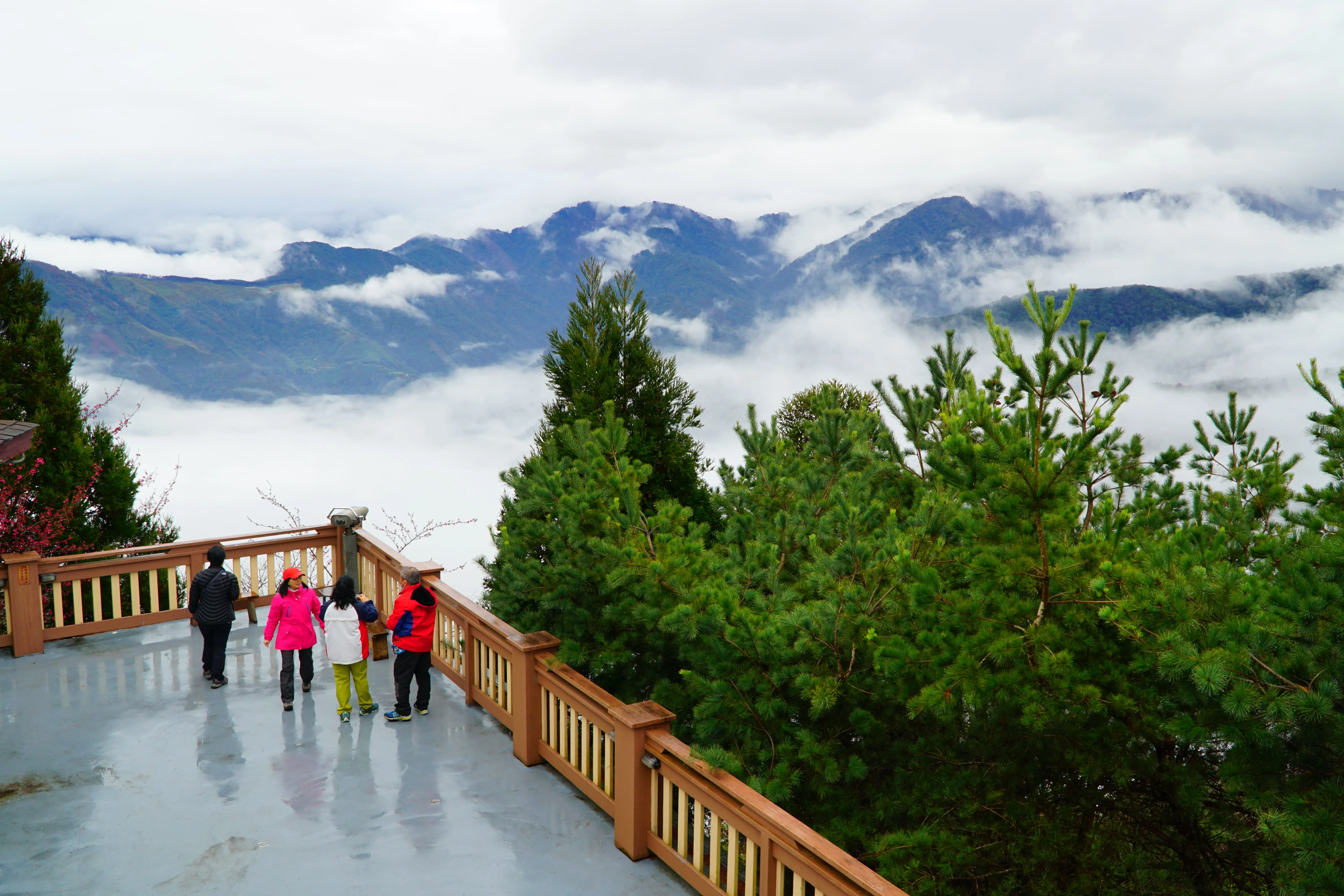❤️『新竹』雪霸國家公園~觀霧森林遊樂區二日遊
