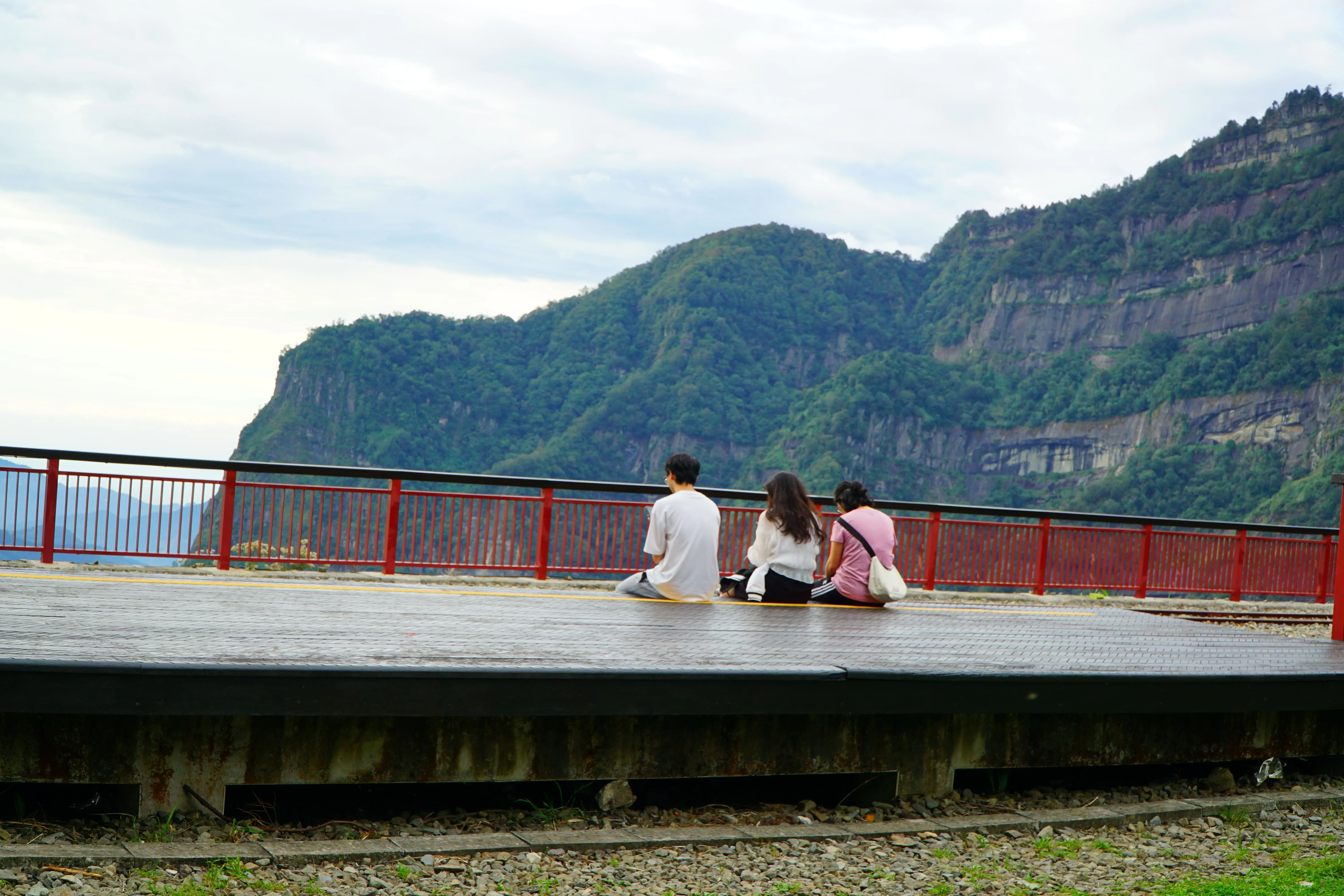 ❤️阿里山神木群、特富野古道三日遊