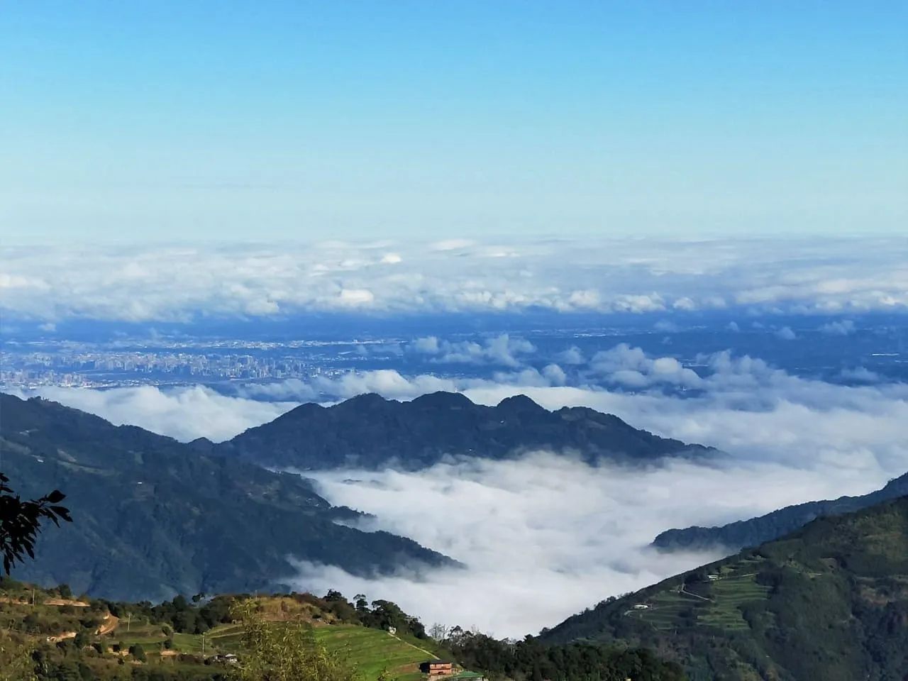 ❤️『新竹』雪霸國家公園~觀霧森林遊樂區二日遊
