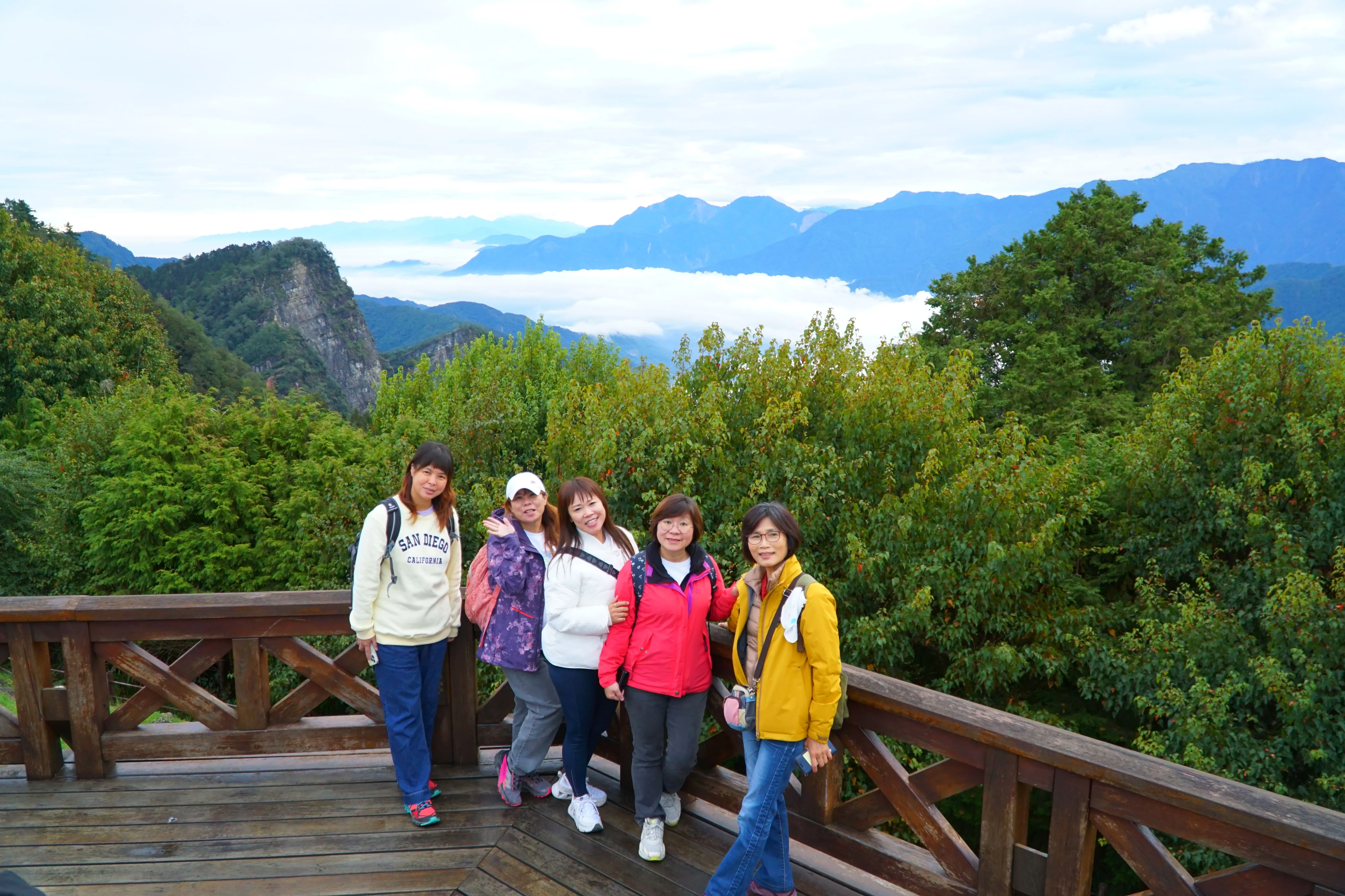 ❤️阿里山神木群、特富野古道三日遊