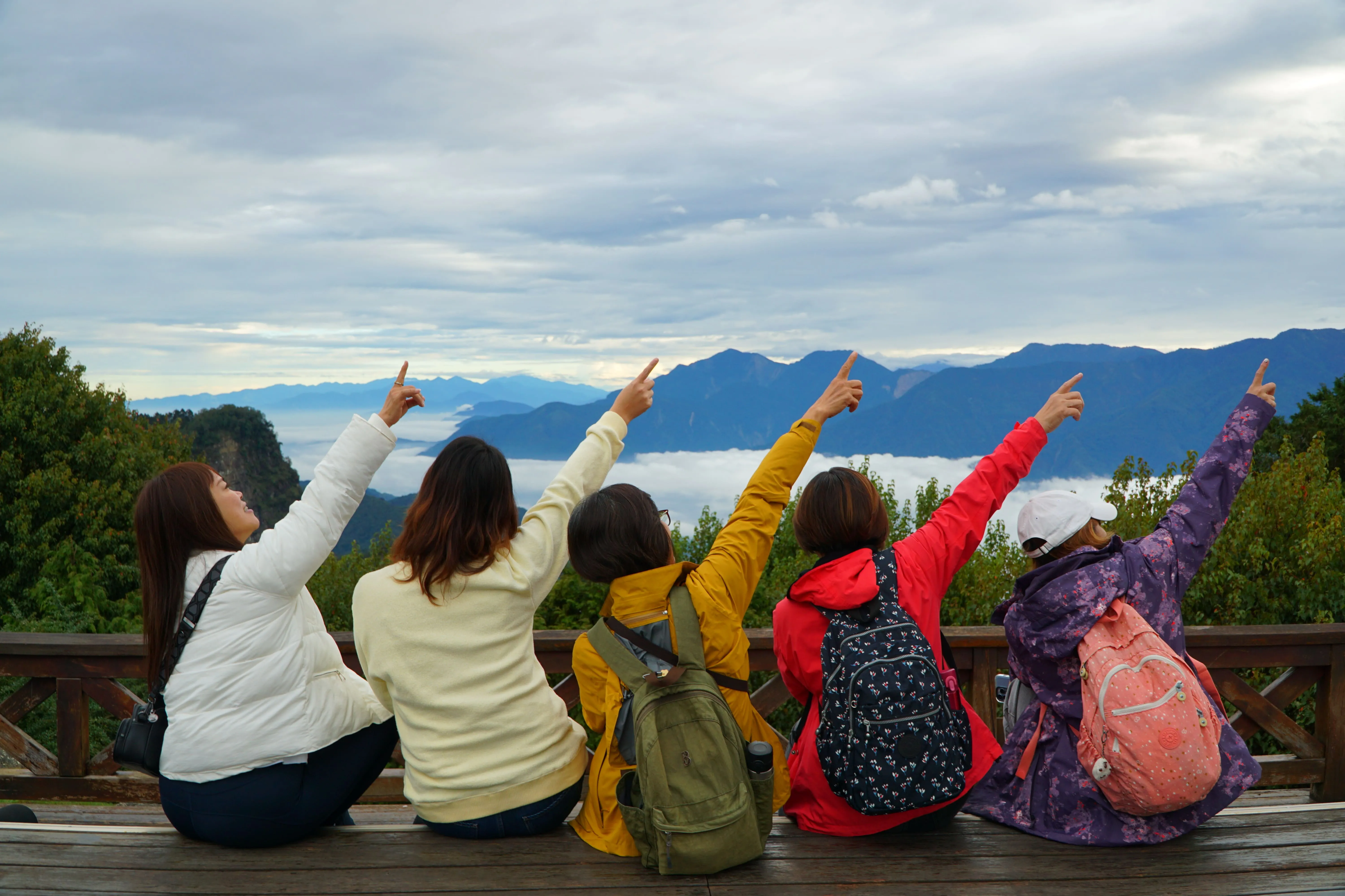 ❤️阿里山神木群、特富野古道三日遊