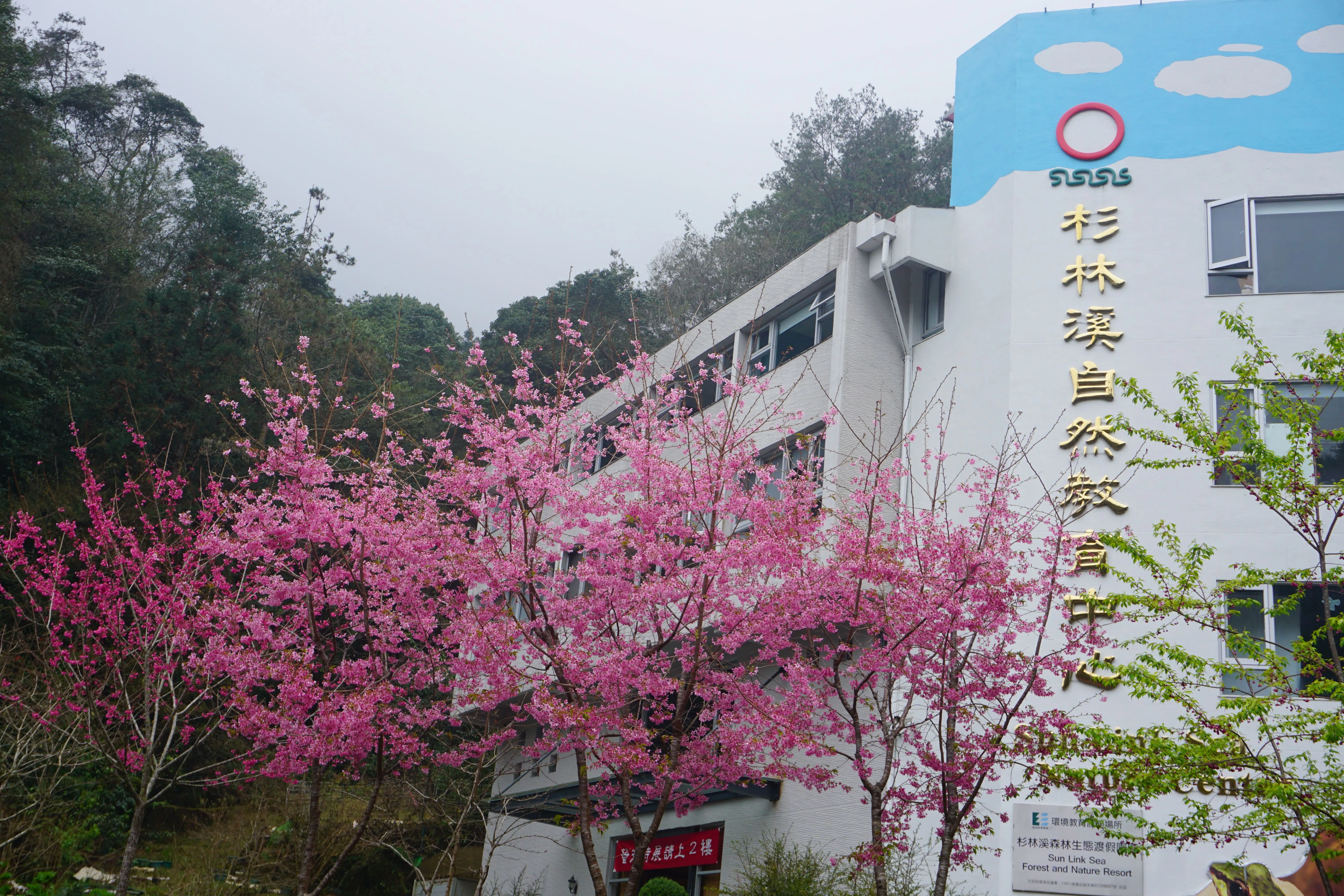 ❣️杉林溪森林生態渡假園區