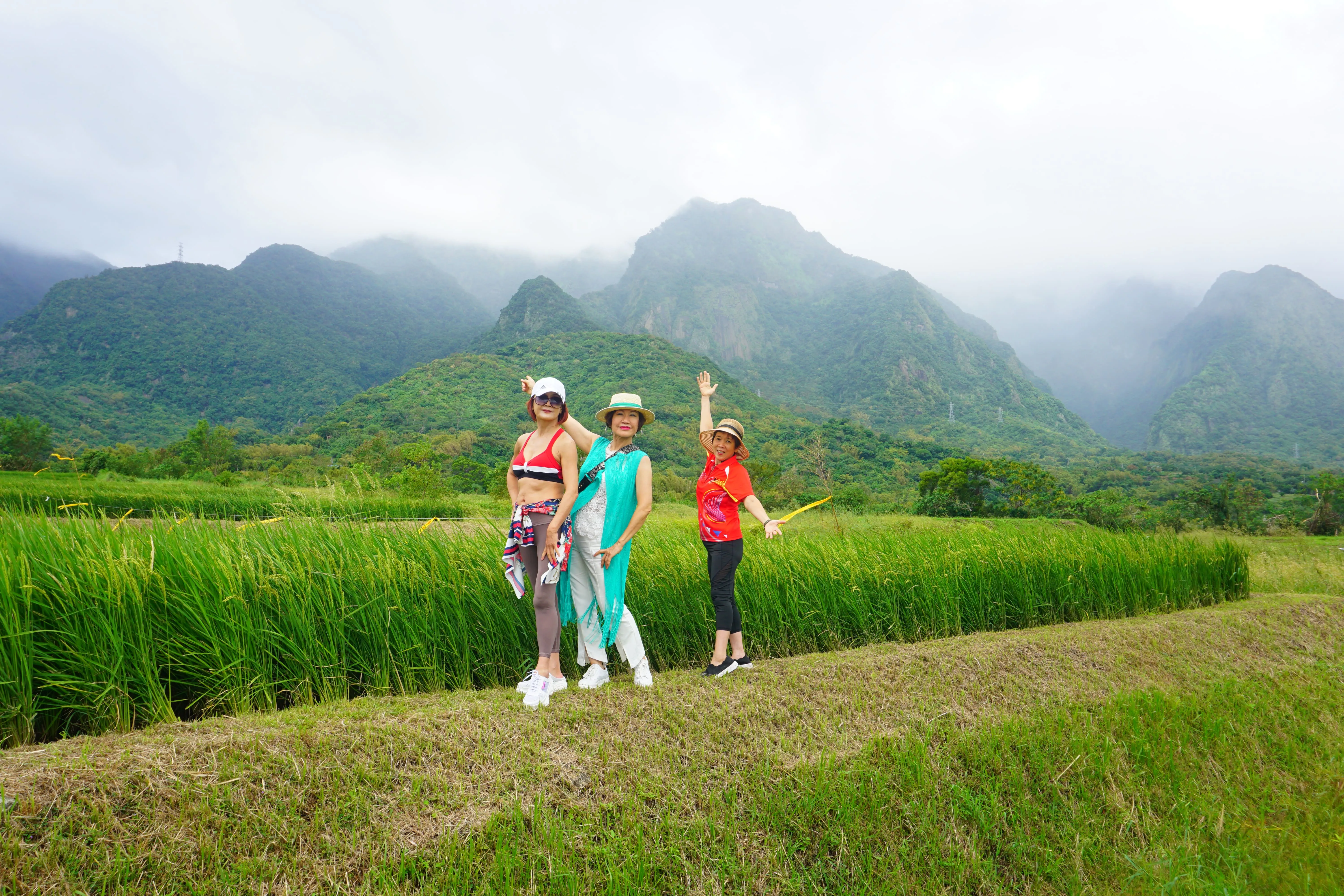 ❤️花東海岸~暢遊雙濱、金剛大道三日遊