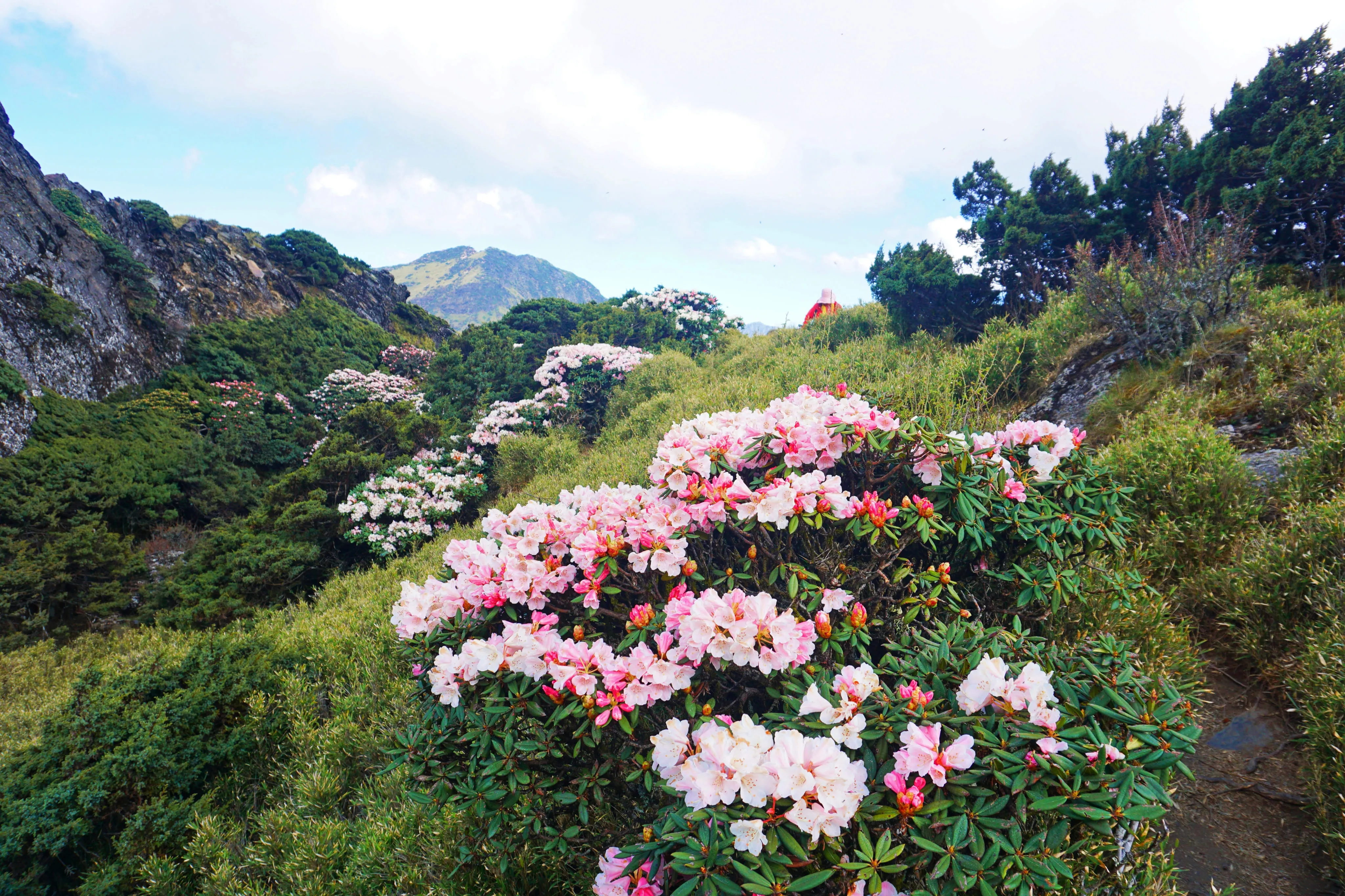 合歡山/海拔3275公尺台灣公路最高點