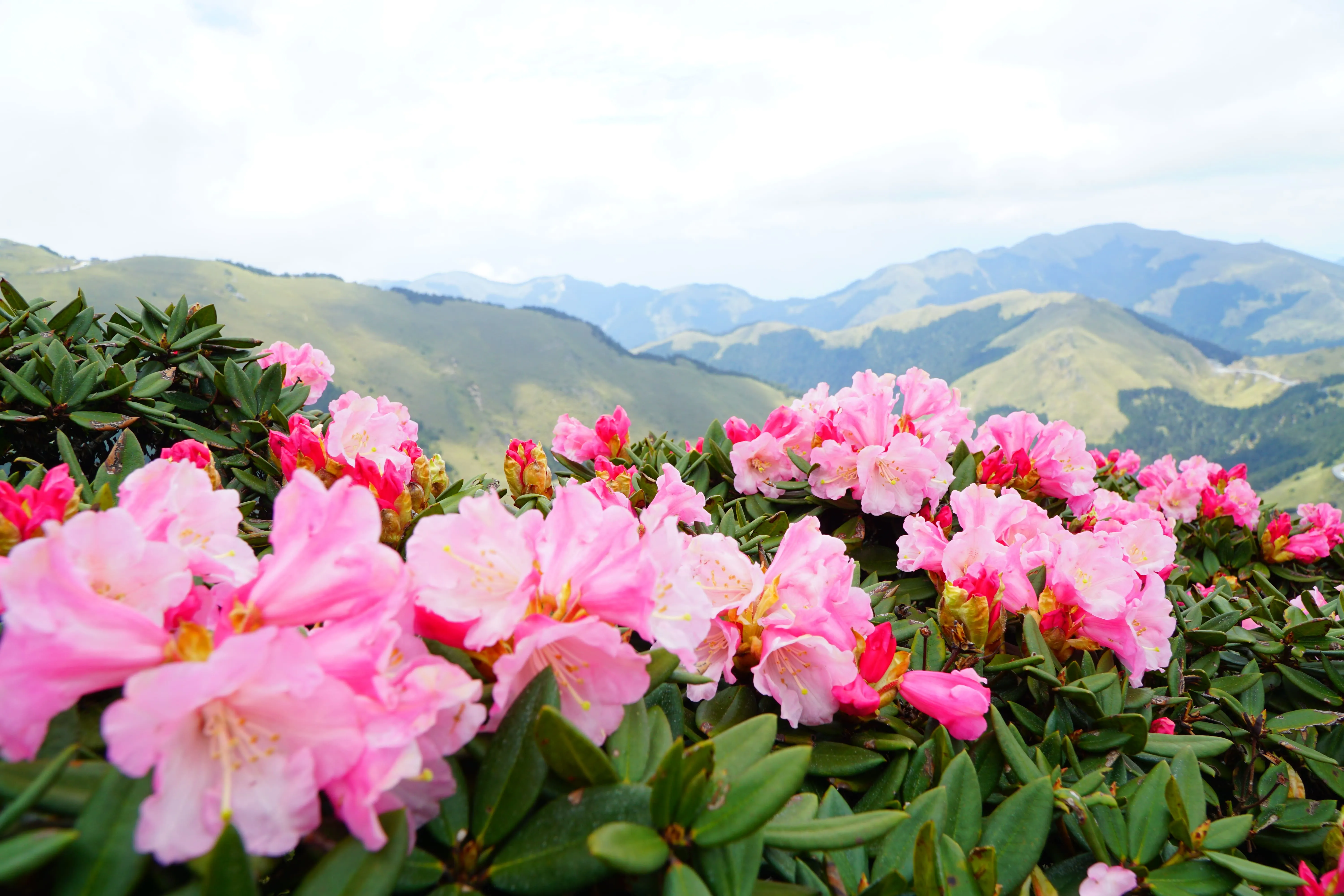 合歡山/海拔3275公尺台灣公路最高點