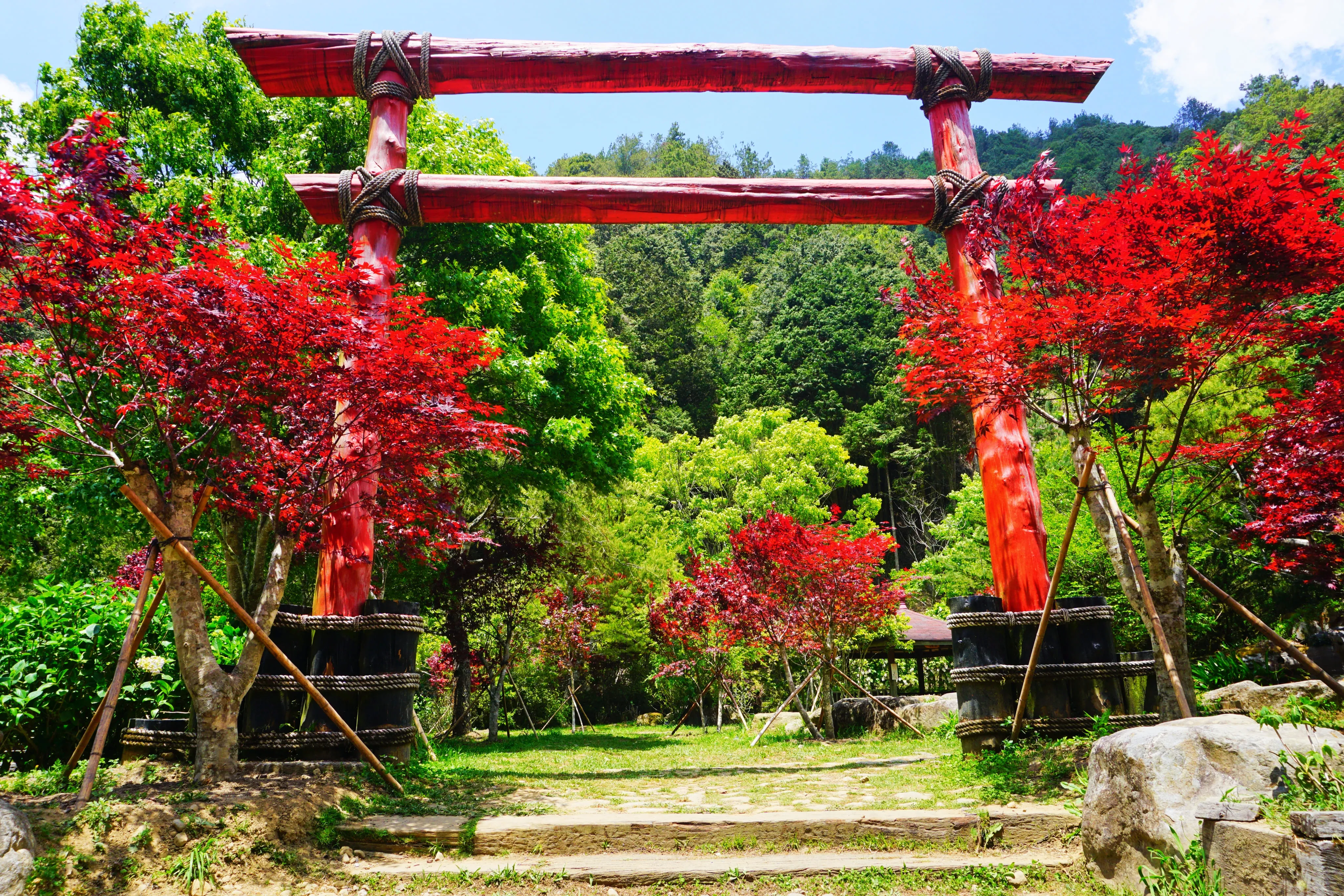 ❣️杉林溪森林生態渡假園區