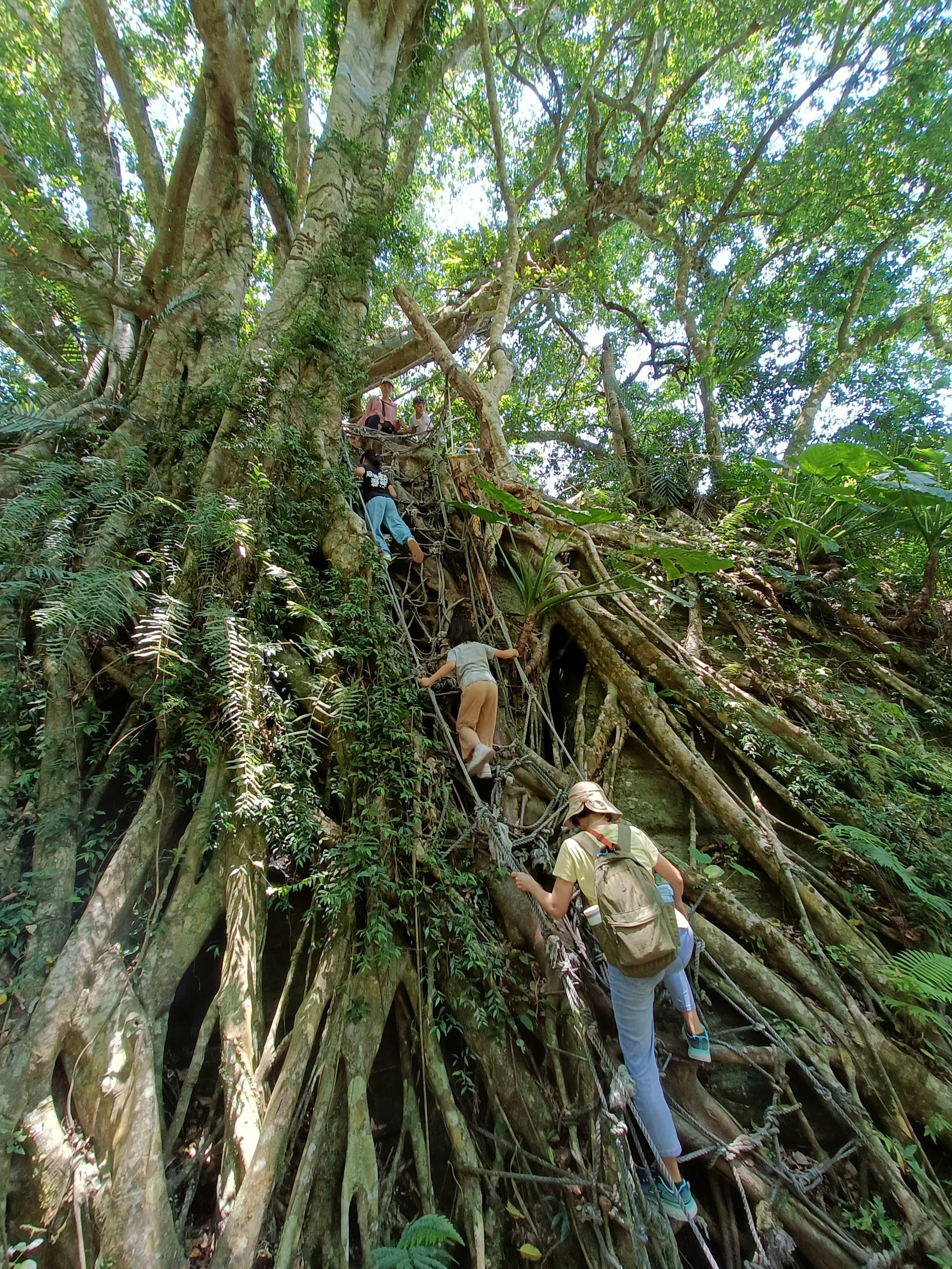 來去台東鸞山部落/體驗布農族一日生活