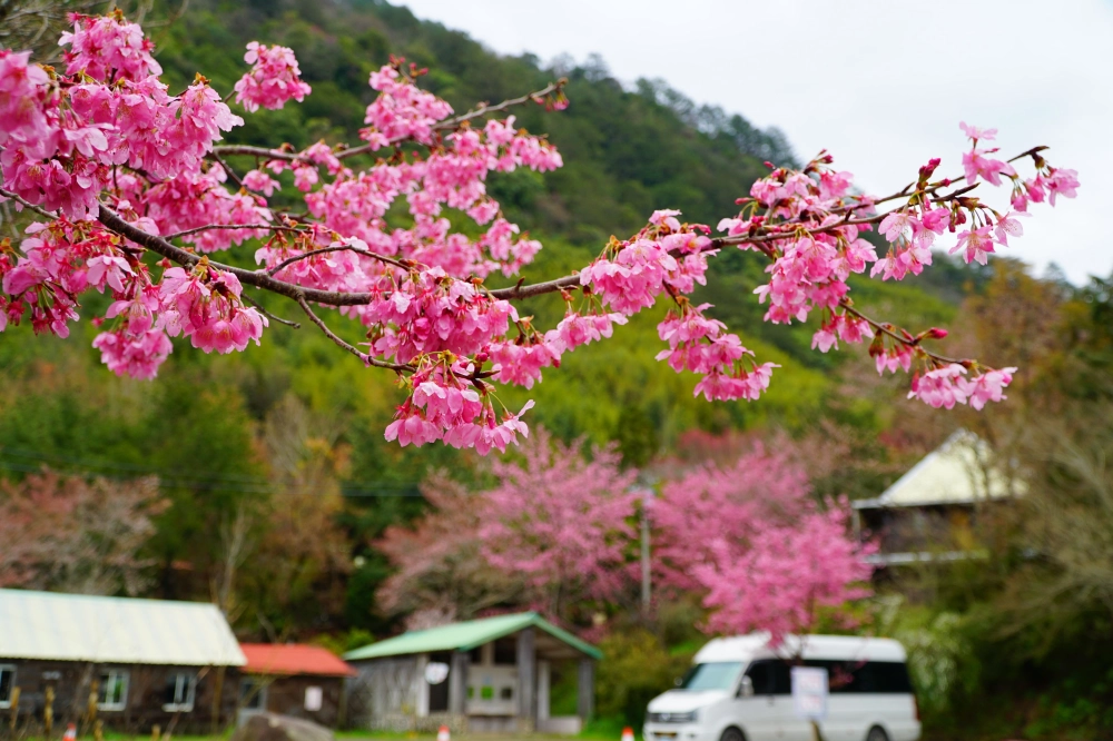 包車旅遊、包車旅拍