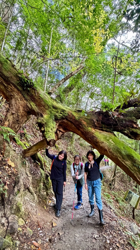 包車旅遊、包車旅拍