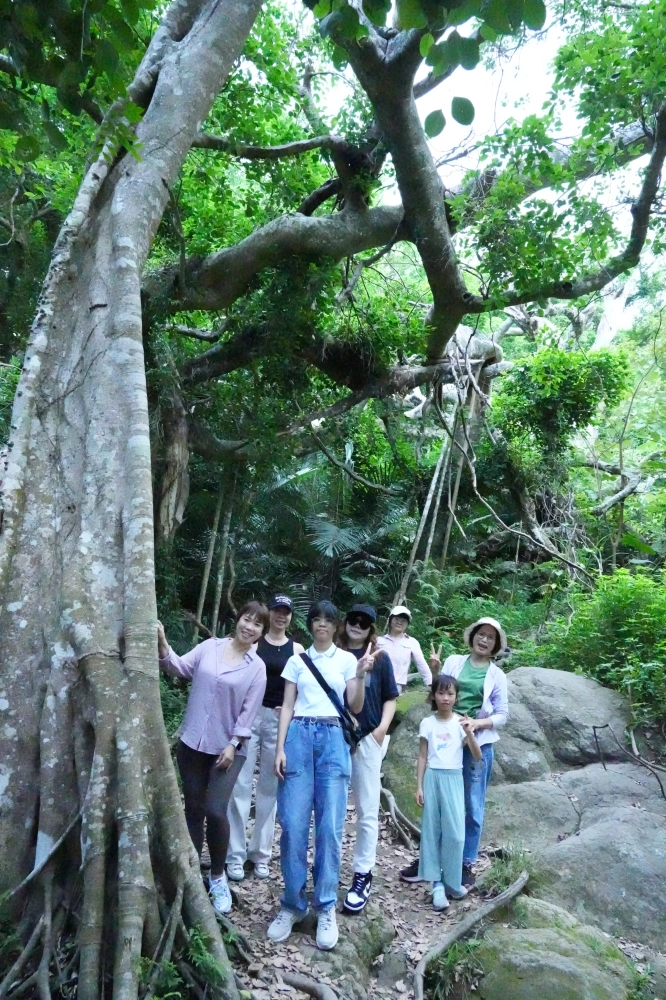 台東鸞山部落森林博物館
