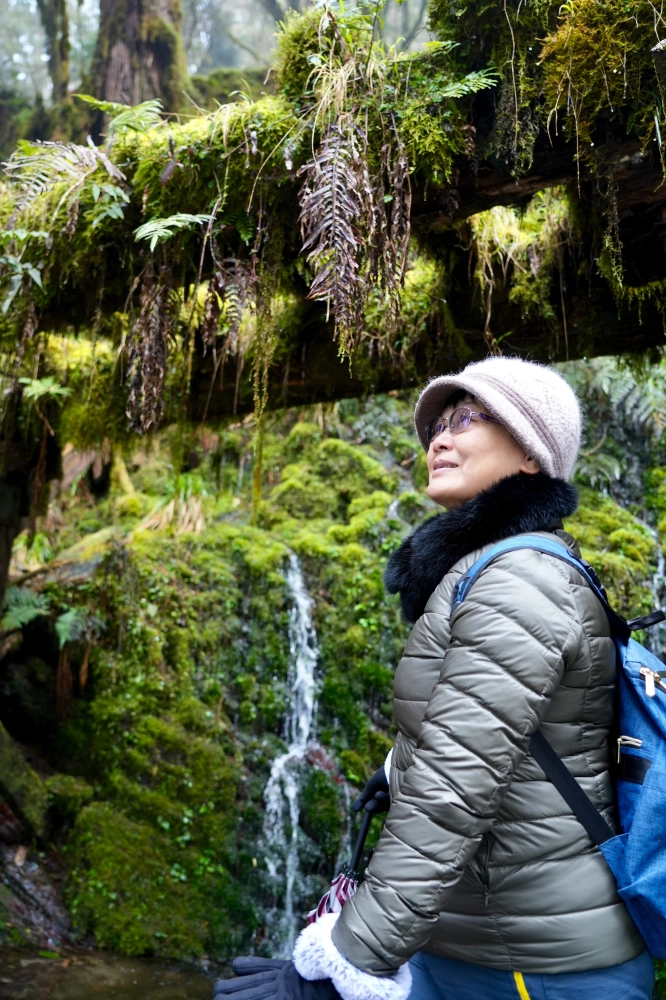 明池太平山武陵四日遊