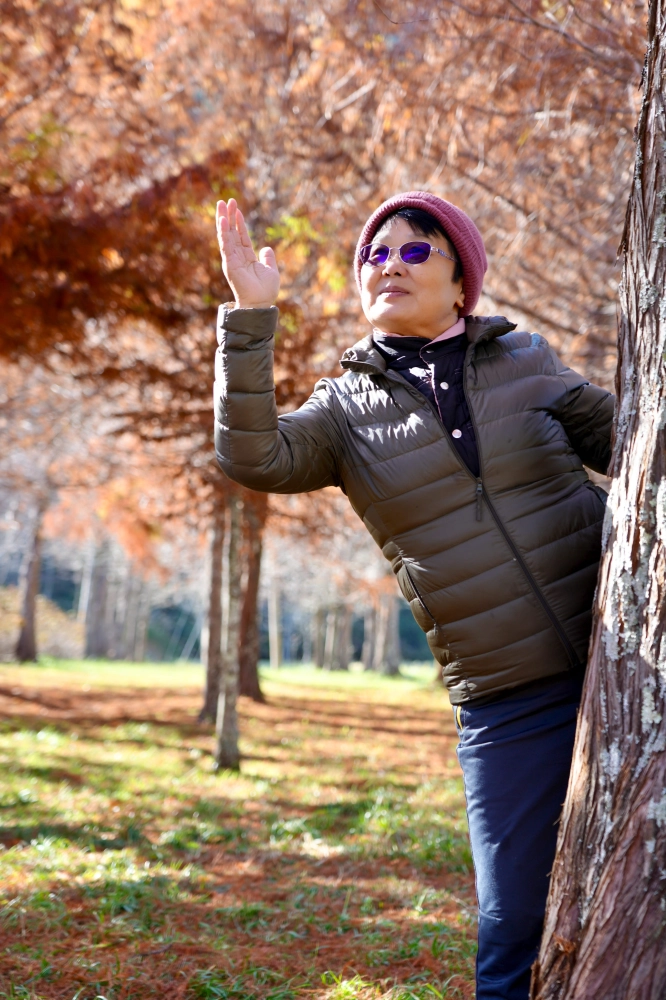 明池太平山武陵四日遊