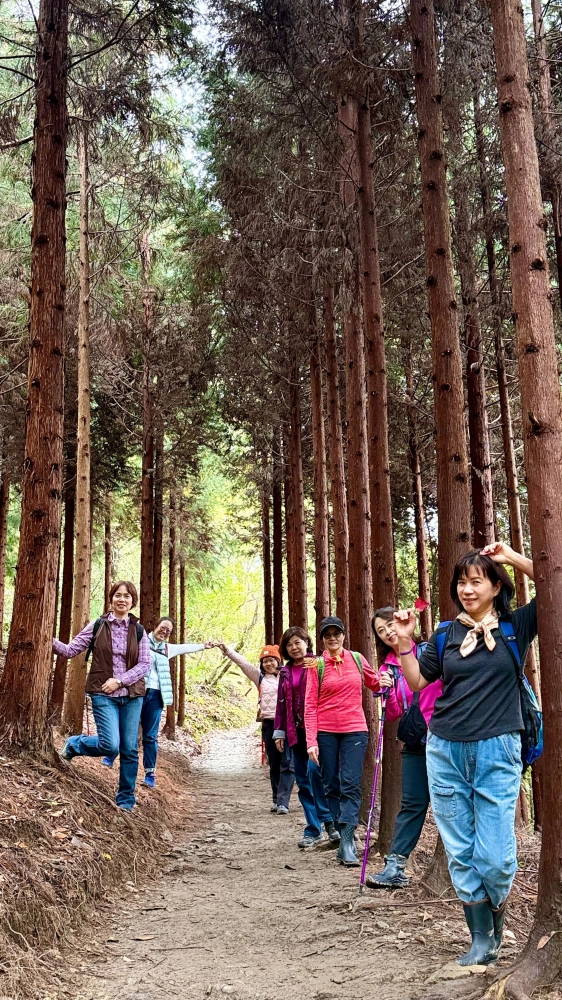 包車旅遊、包車旅拍