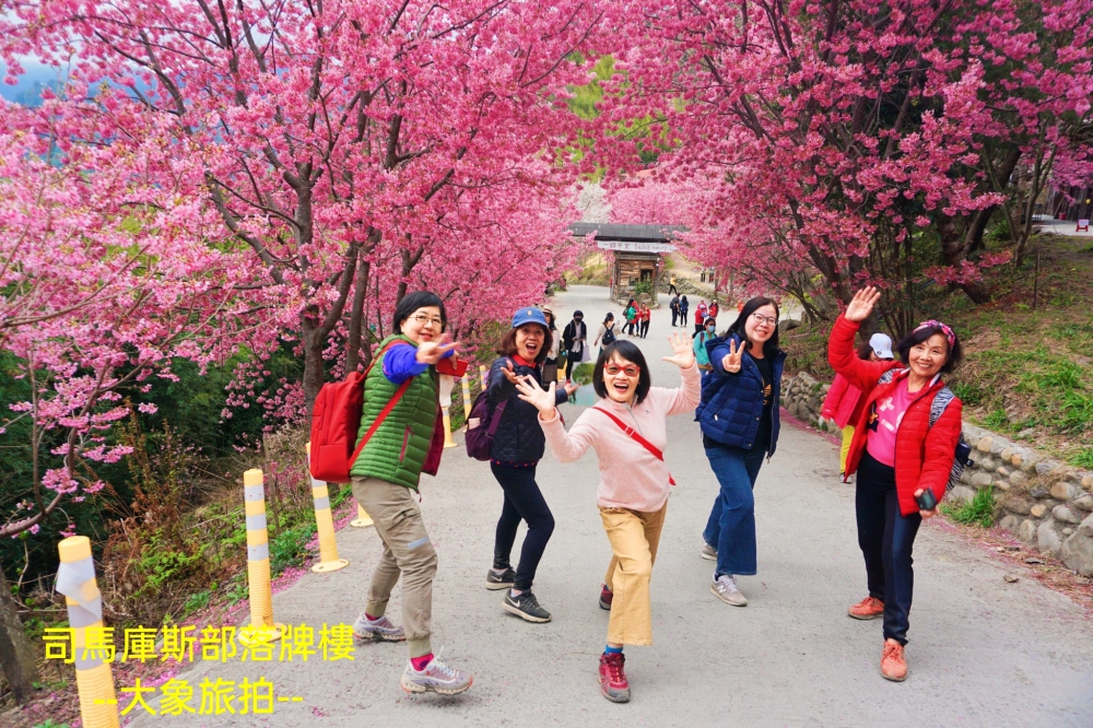 包車旅遊、包車旅拍